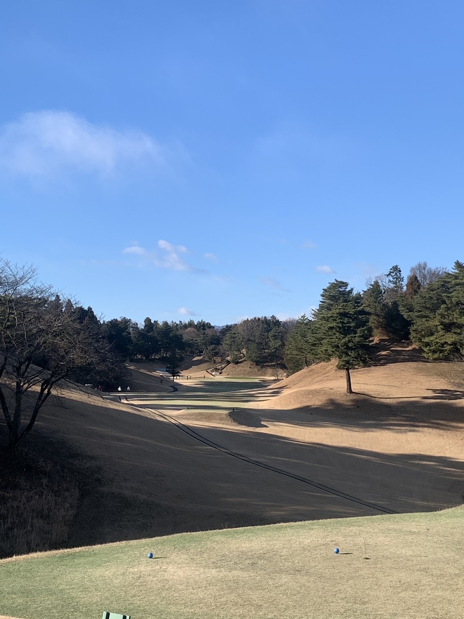 Tokyo Kokusai Golf Club - 2