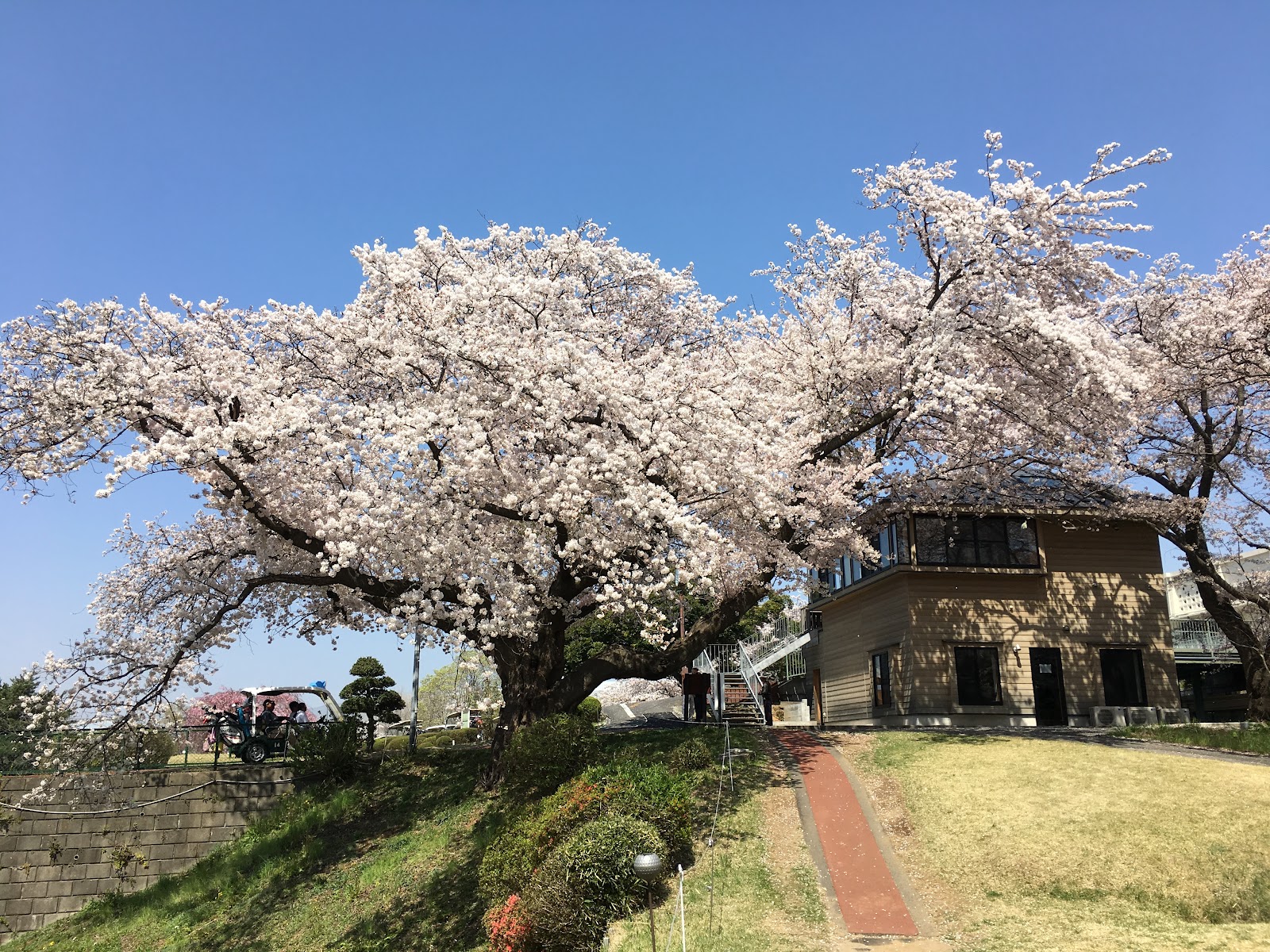 Tokyo Kokusai Golf Club - 3