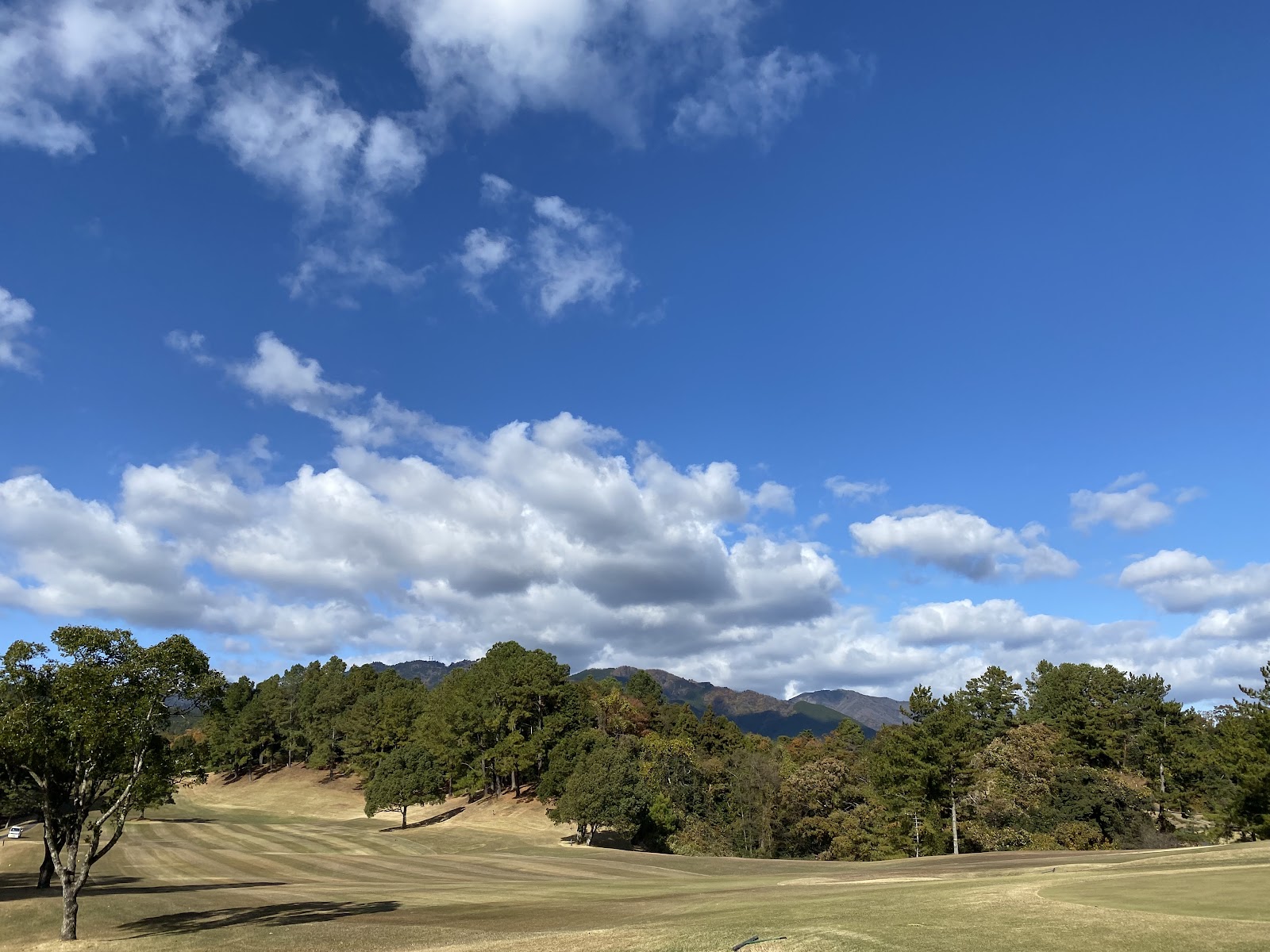 Chunichi Golf Club - 4