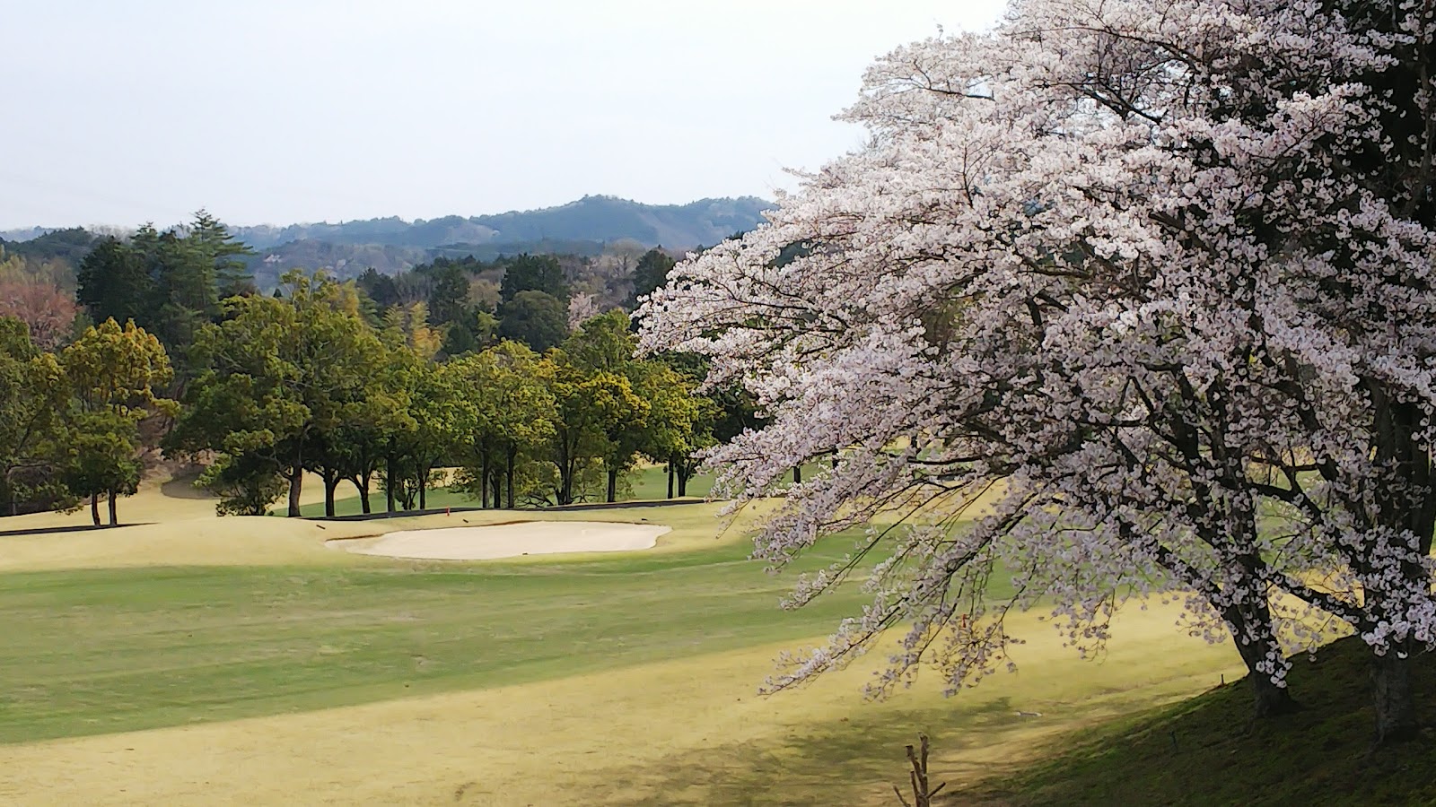 Naimatsu Golf Club - 6