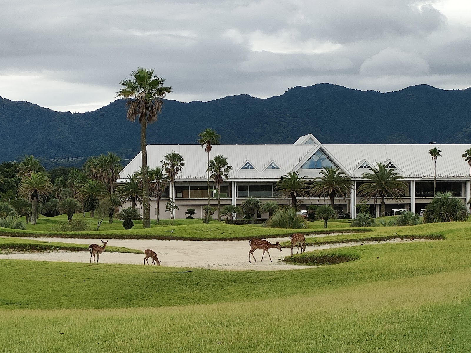 Mie Phoenix Golf Club - 6