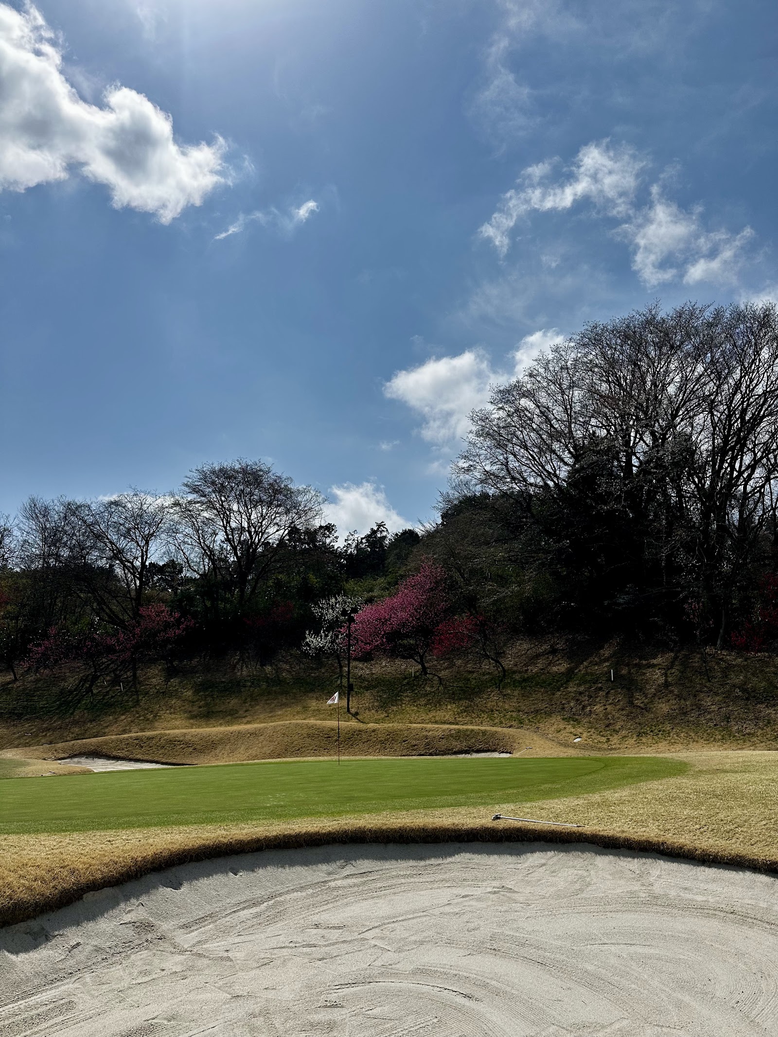 Ome Golf Club - 4