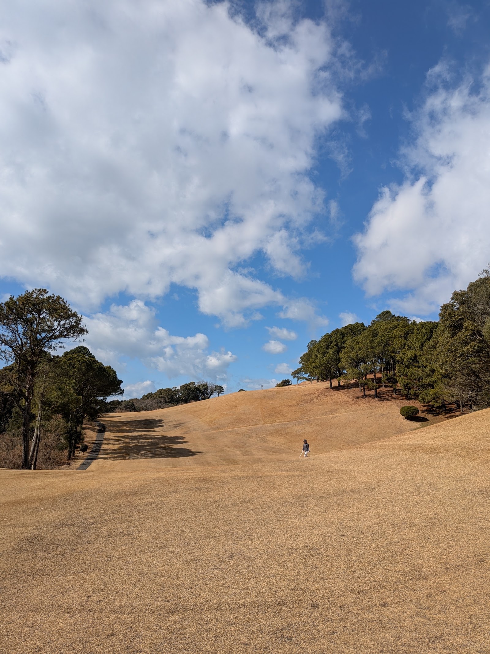 Ariake Country Club - 5