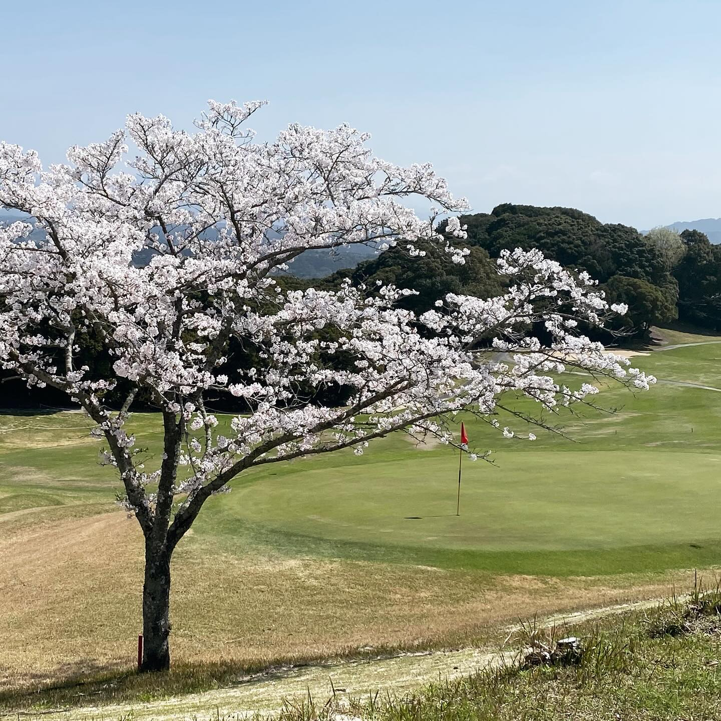 Chu-Kyushu Country Club - 6