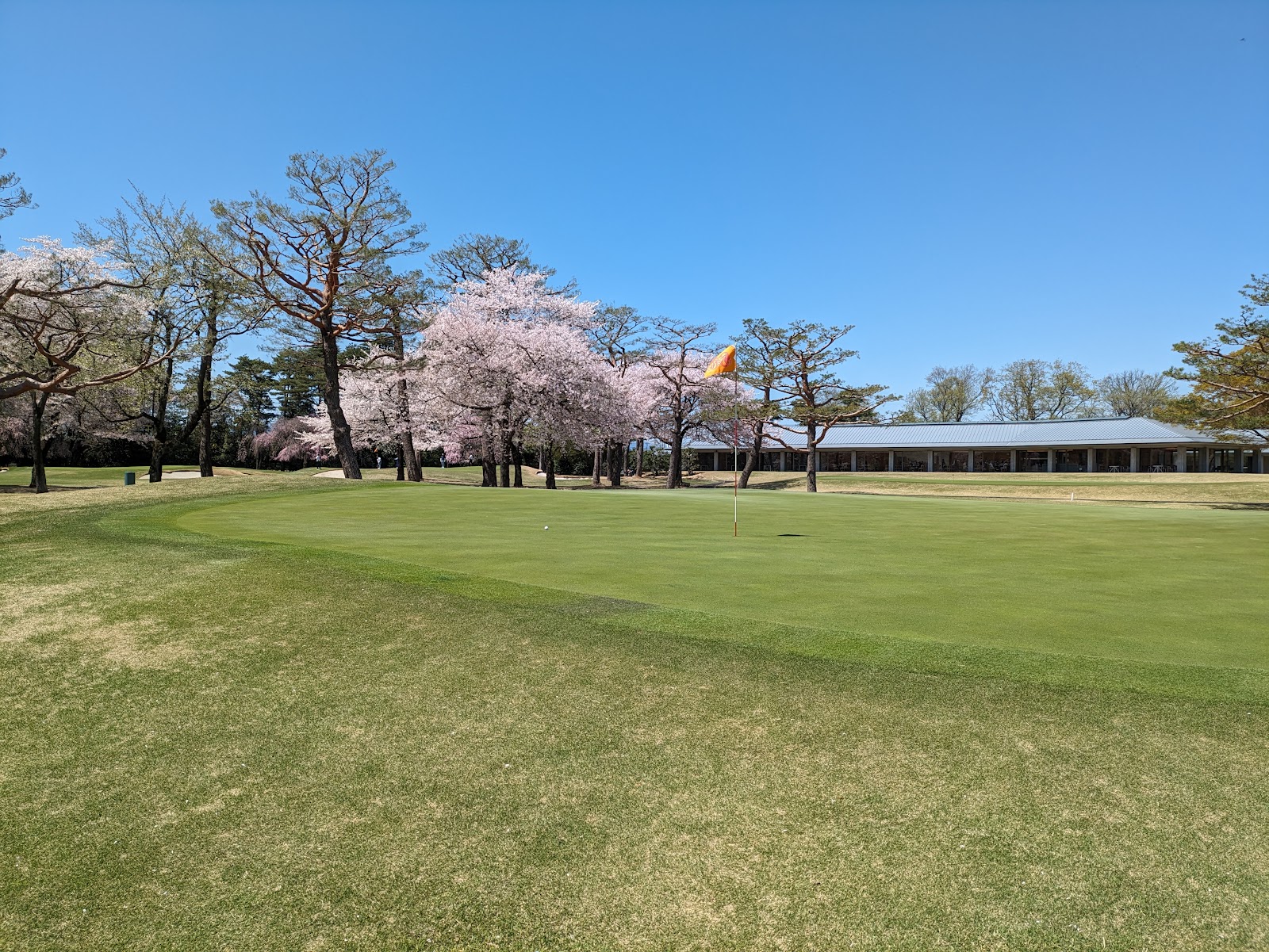 Musashi Country Club Toyooka Course - 2