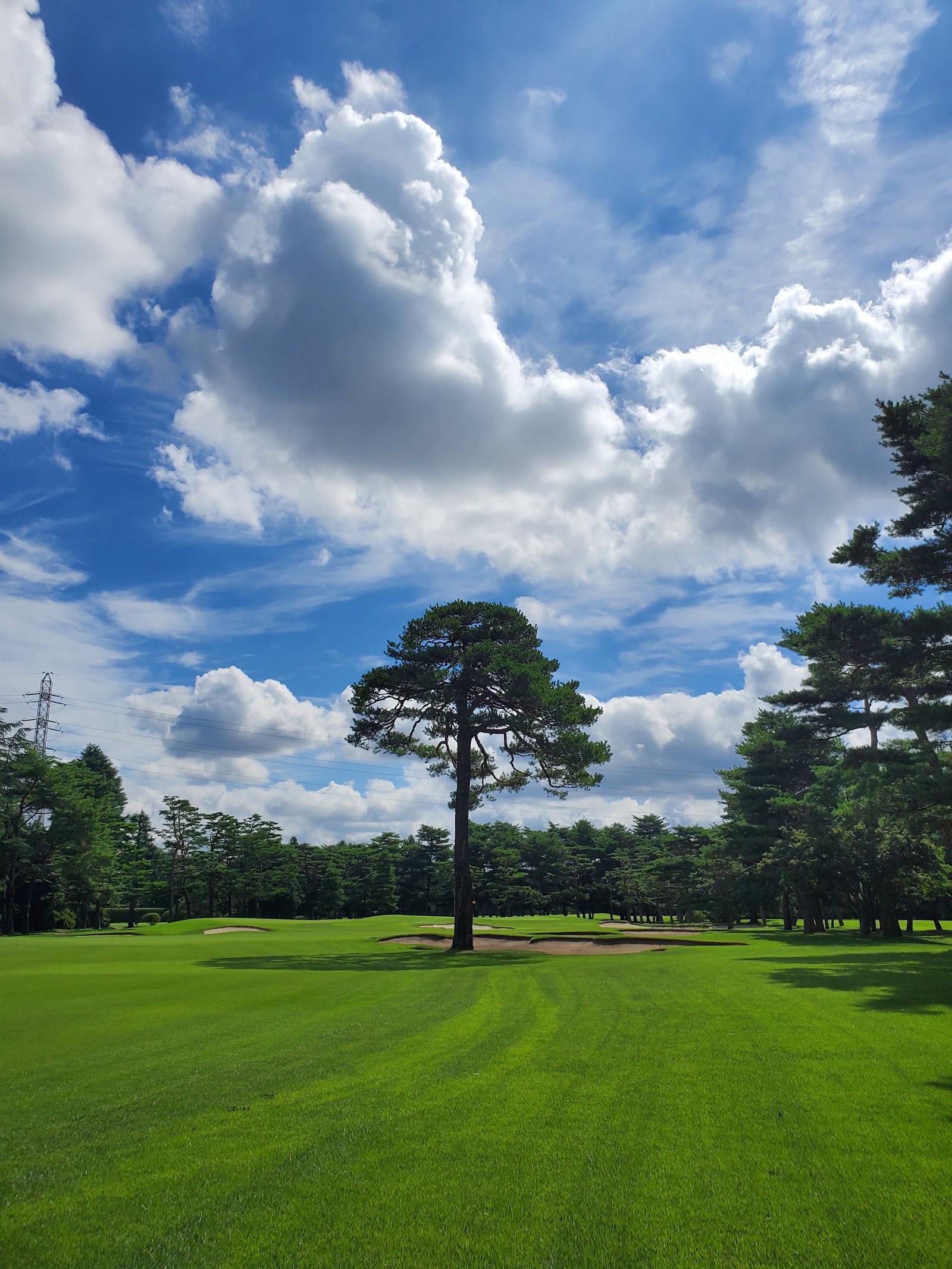 Musashi Country Club Toyooka Course - 3