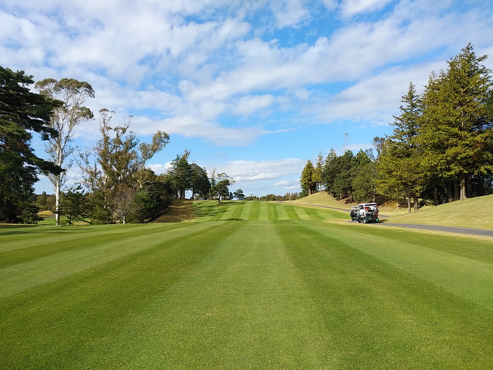 Kasco Hanaha Club
