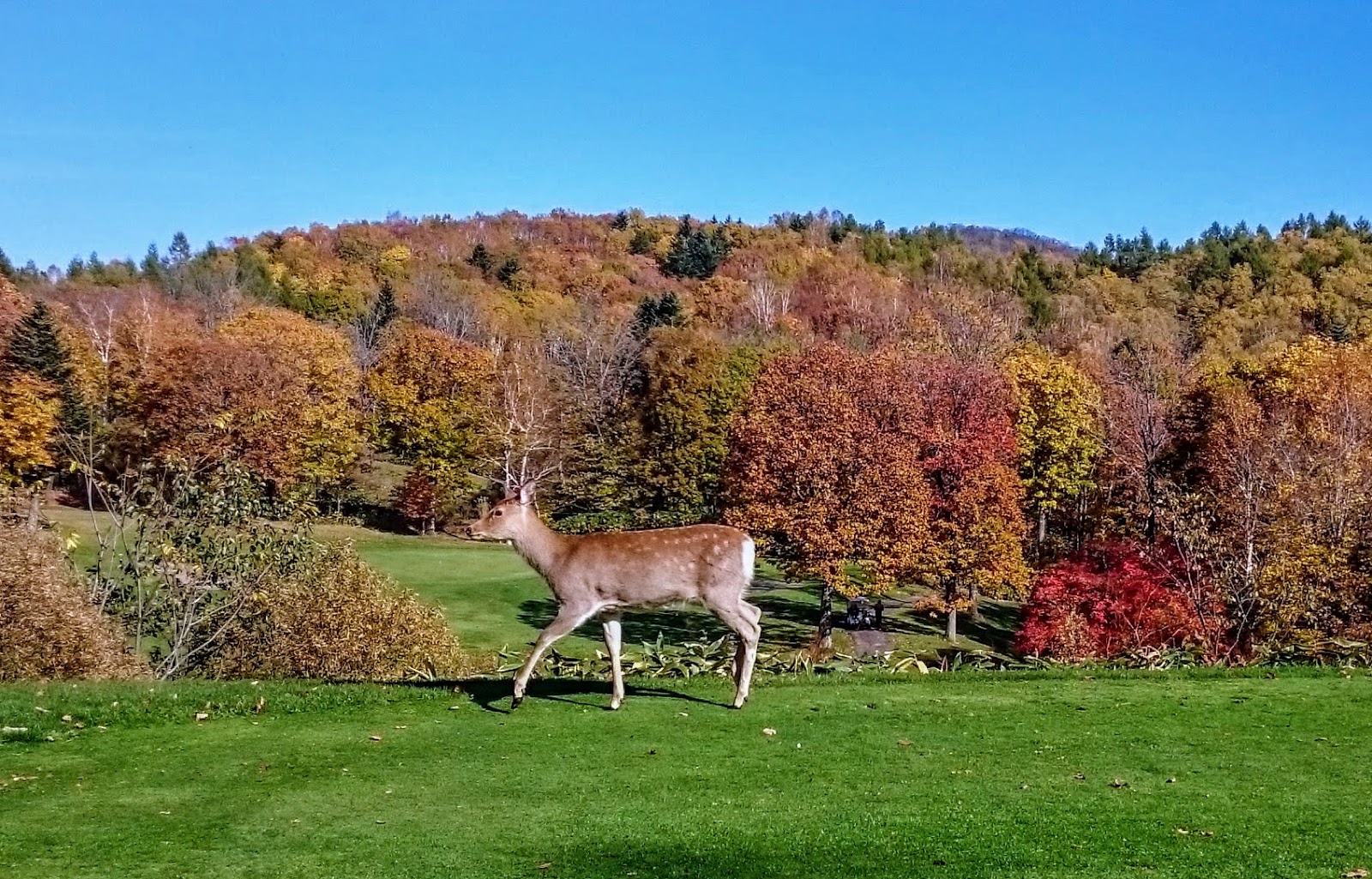 Great Asahikawa Country Club - 6