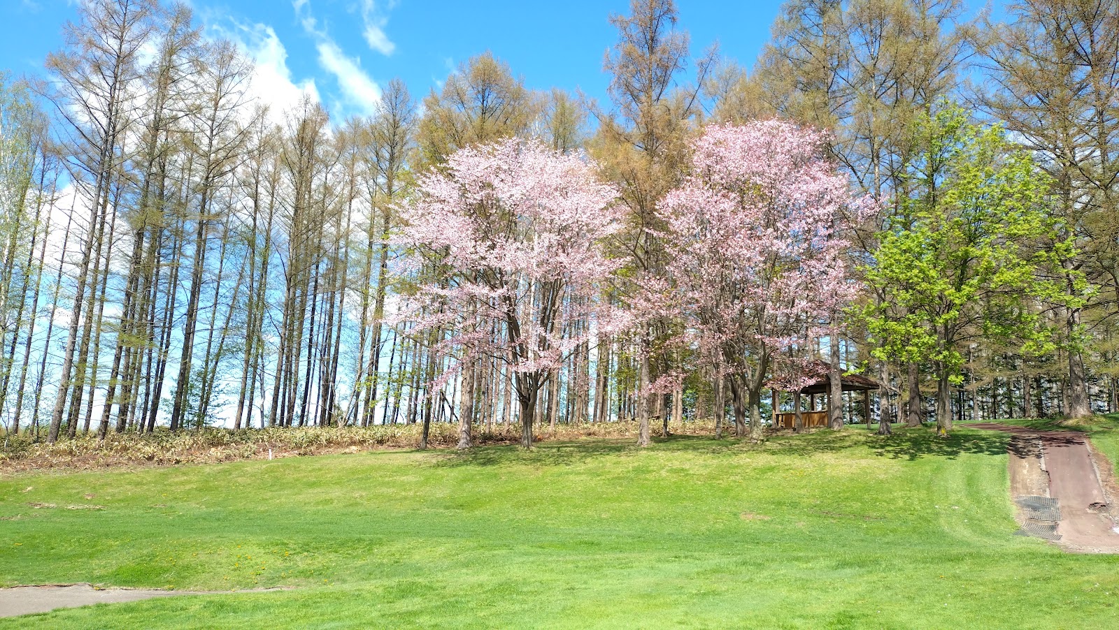 Taisetsuzan Country Club - 5