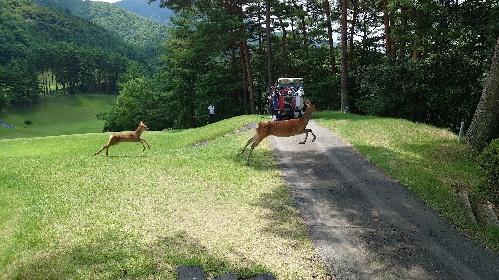 Katsunuma Golf Course - 6