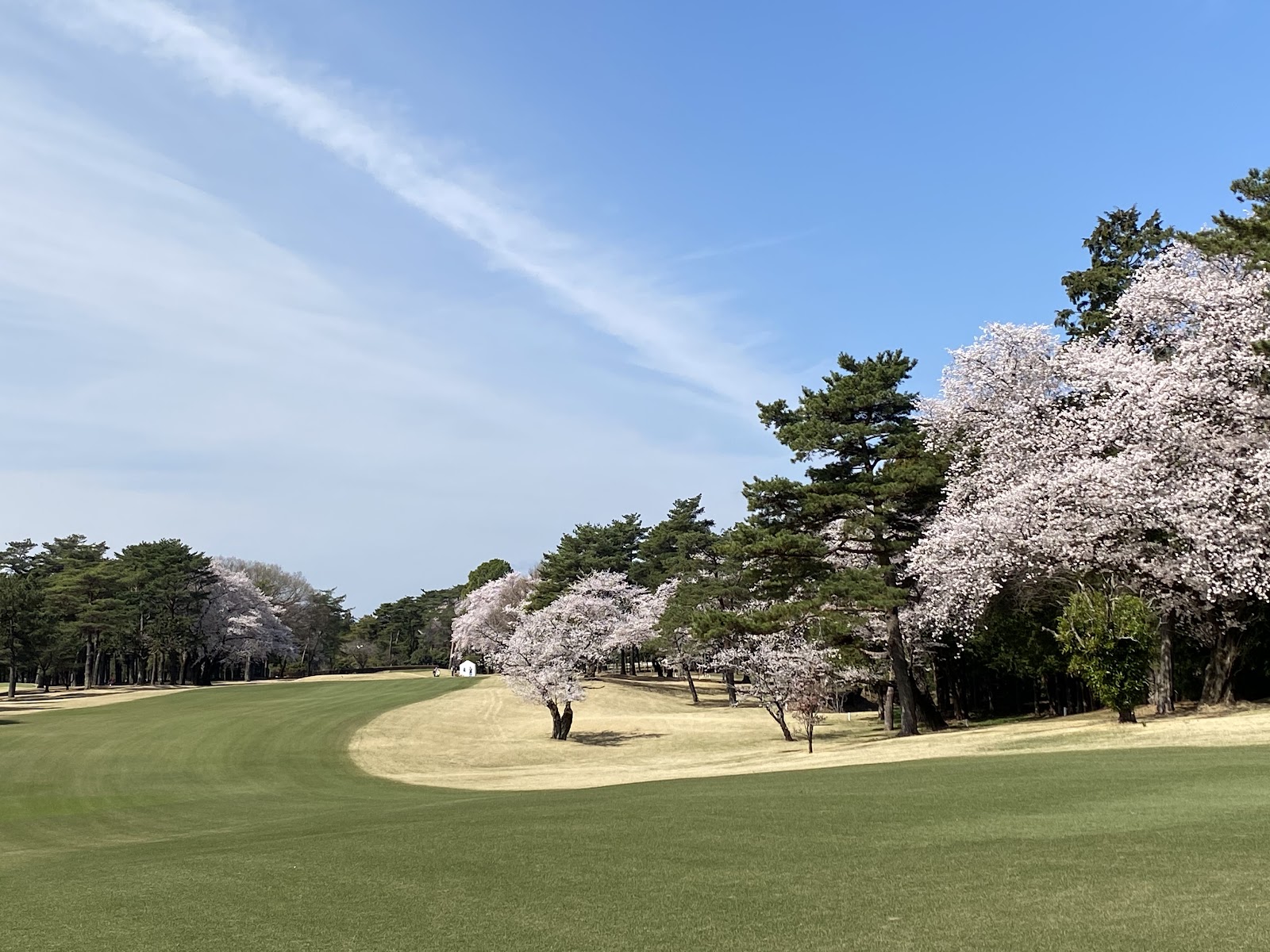 Hanno Golf Club - 6