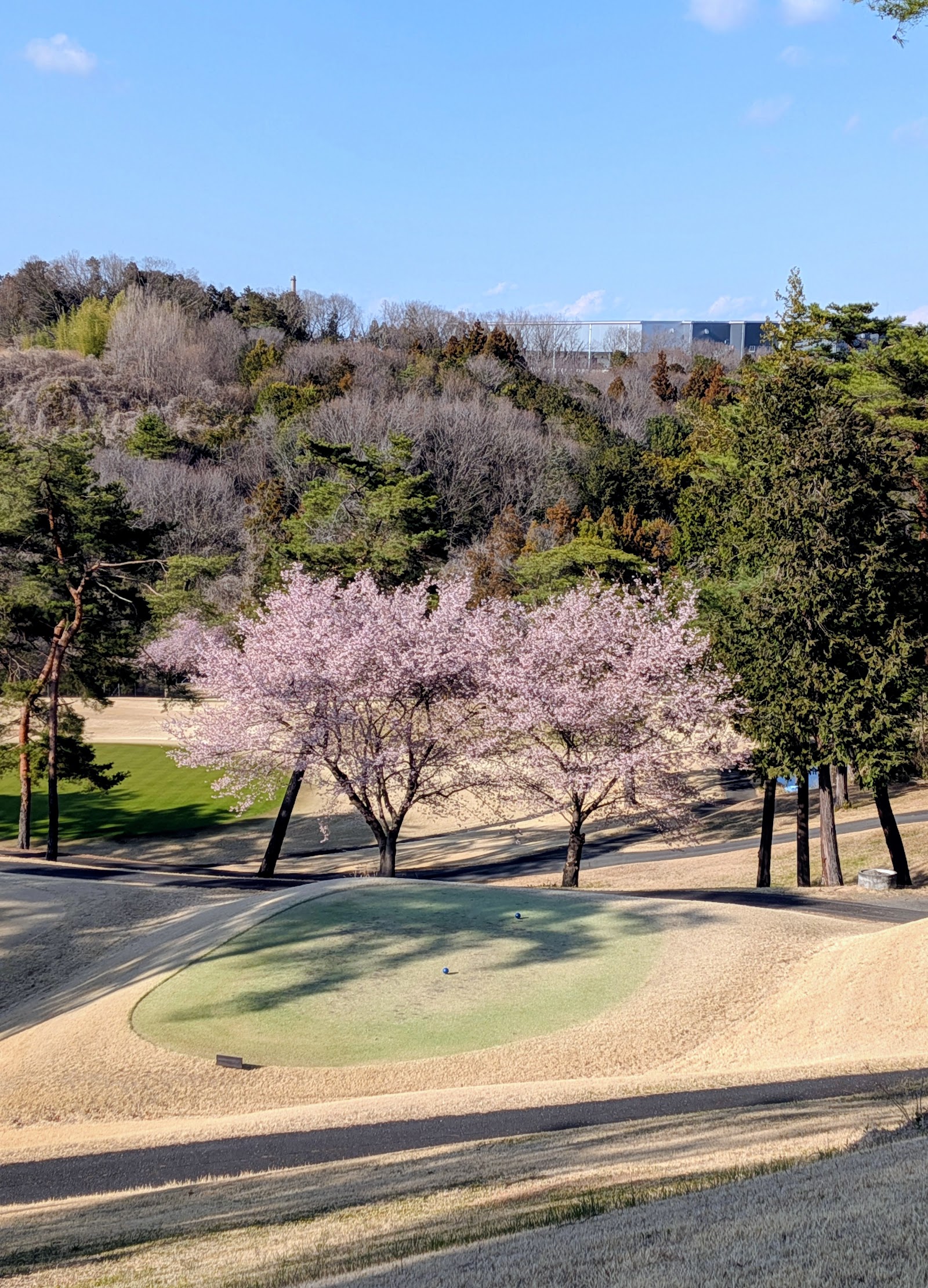Kuni Country Club - 3