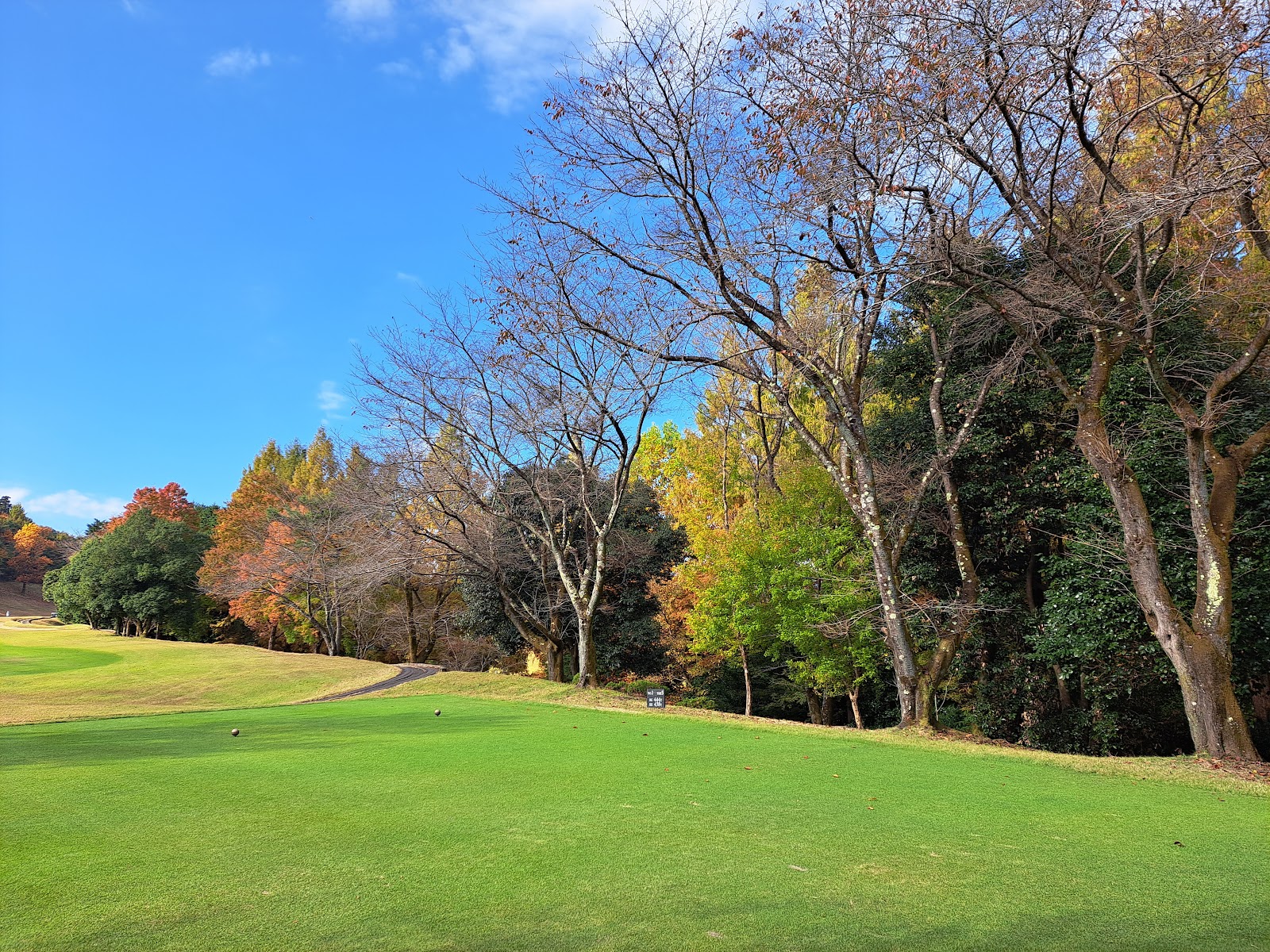Hanno Park Country Club - 5