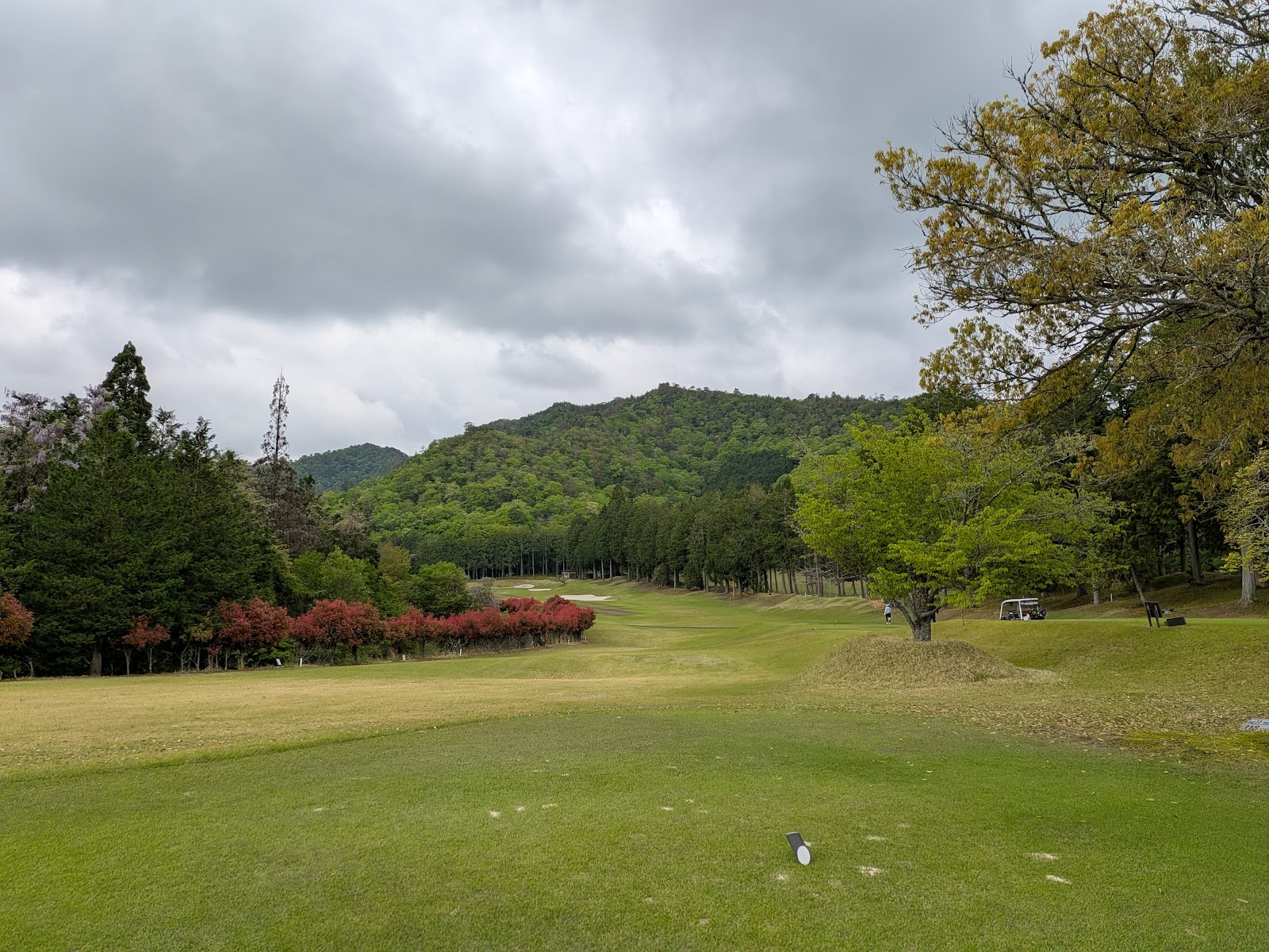 Mizuho Golf Club - 4
