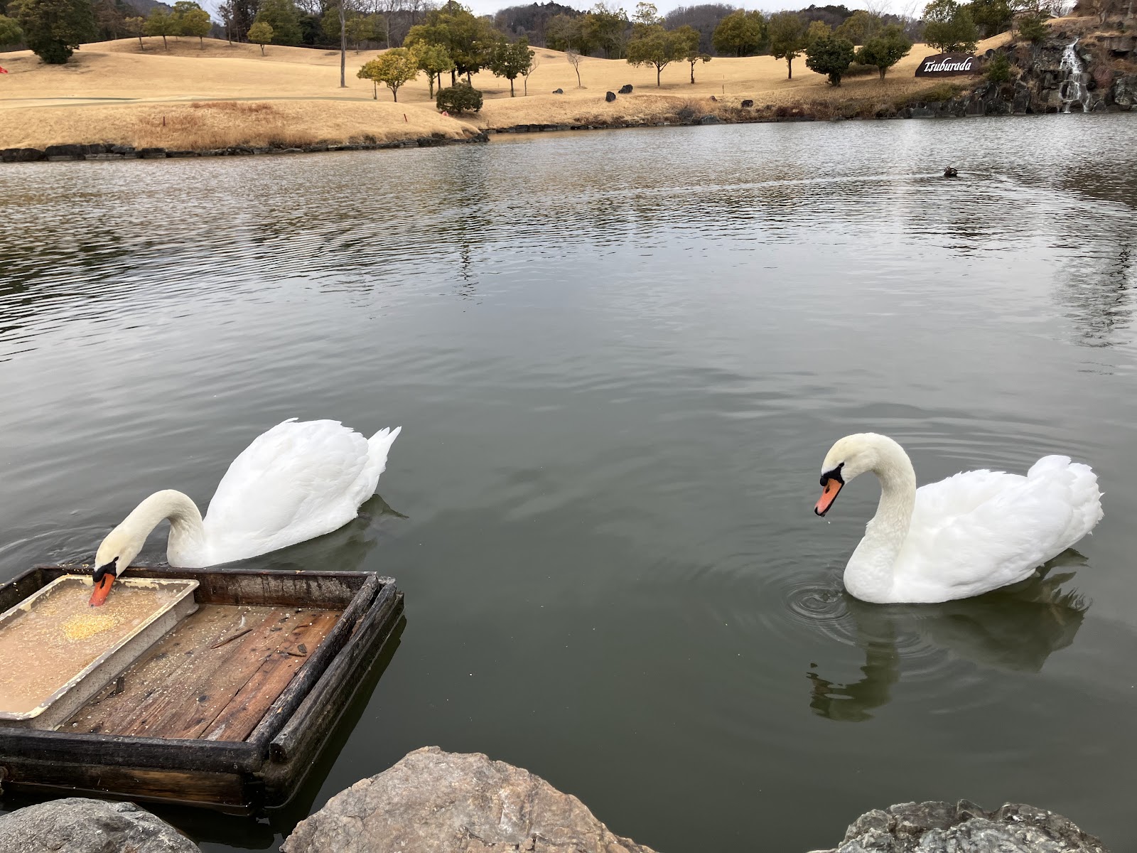 Lake Tsuburada Course - 5