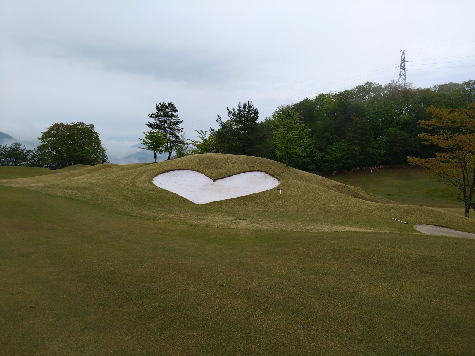 Grace Ridge Country Club - 3