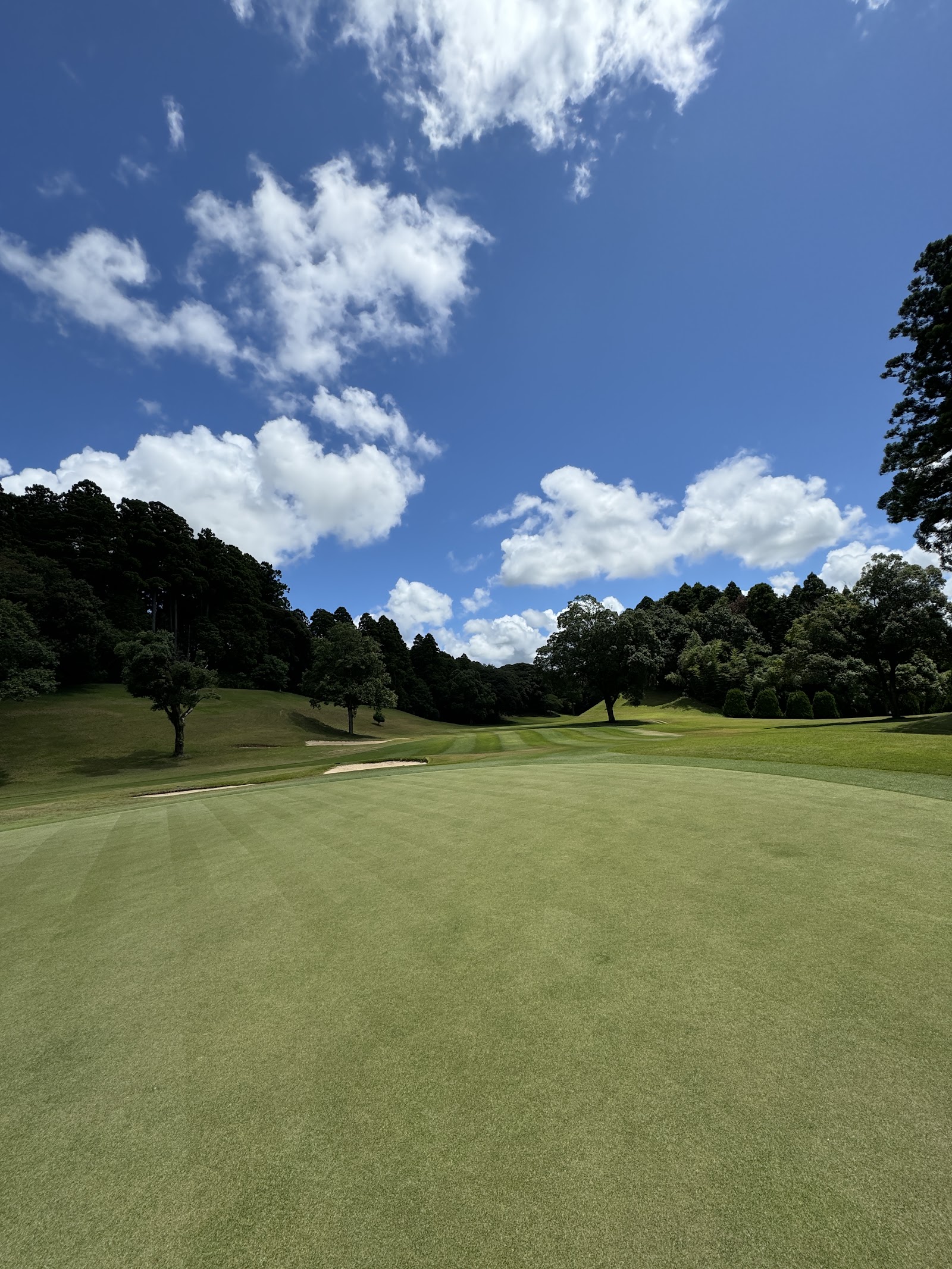 Golf Club Narita Hightree