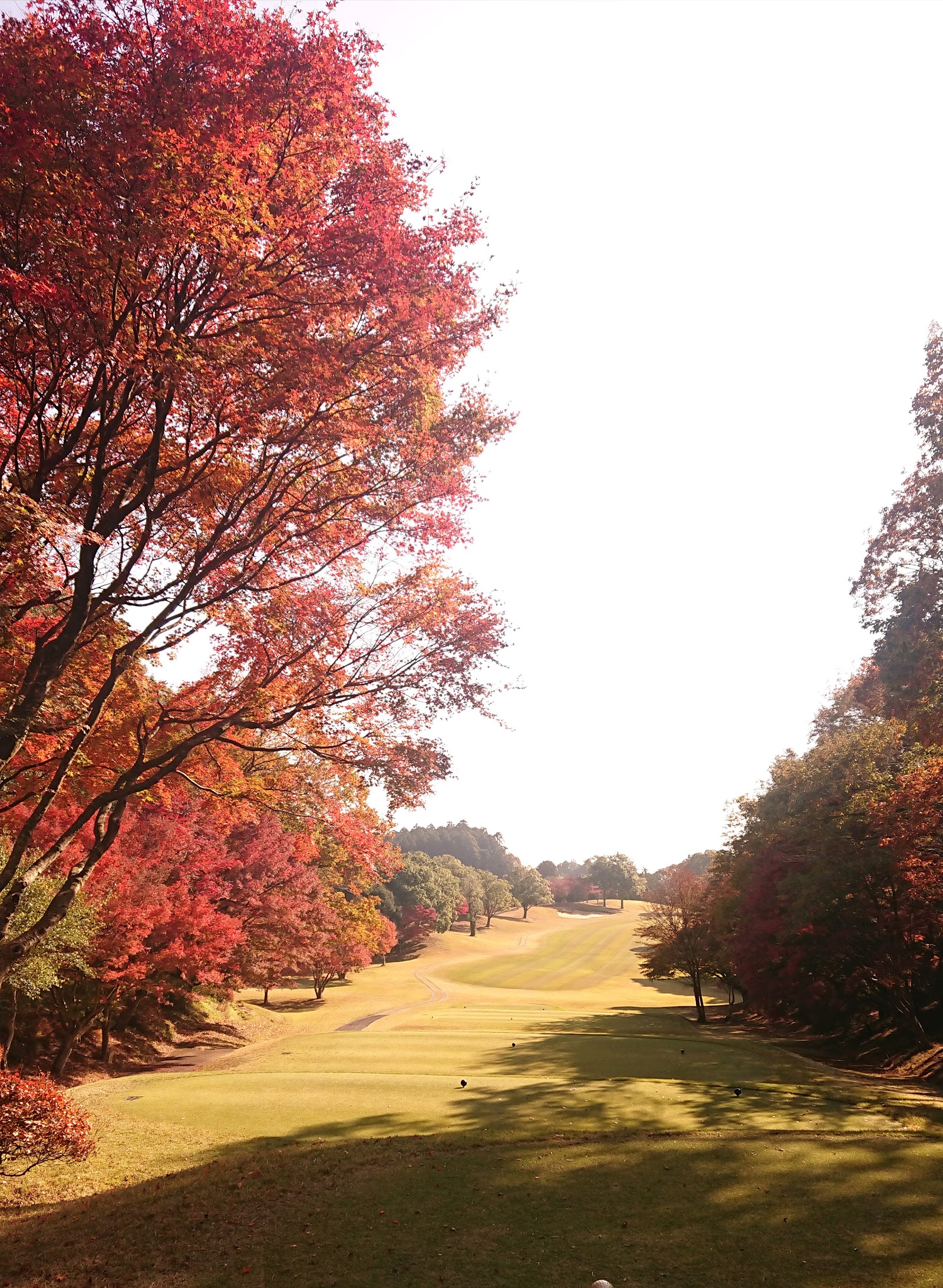 Golf Club Narita Hightree - 5