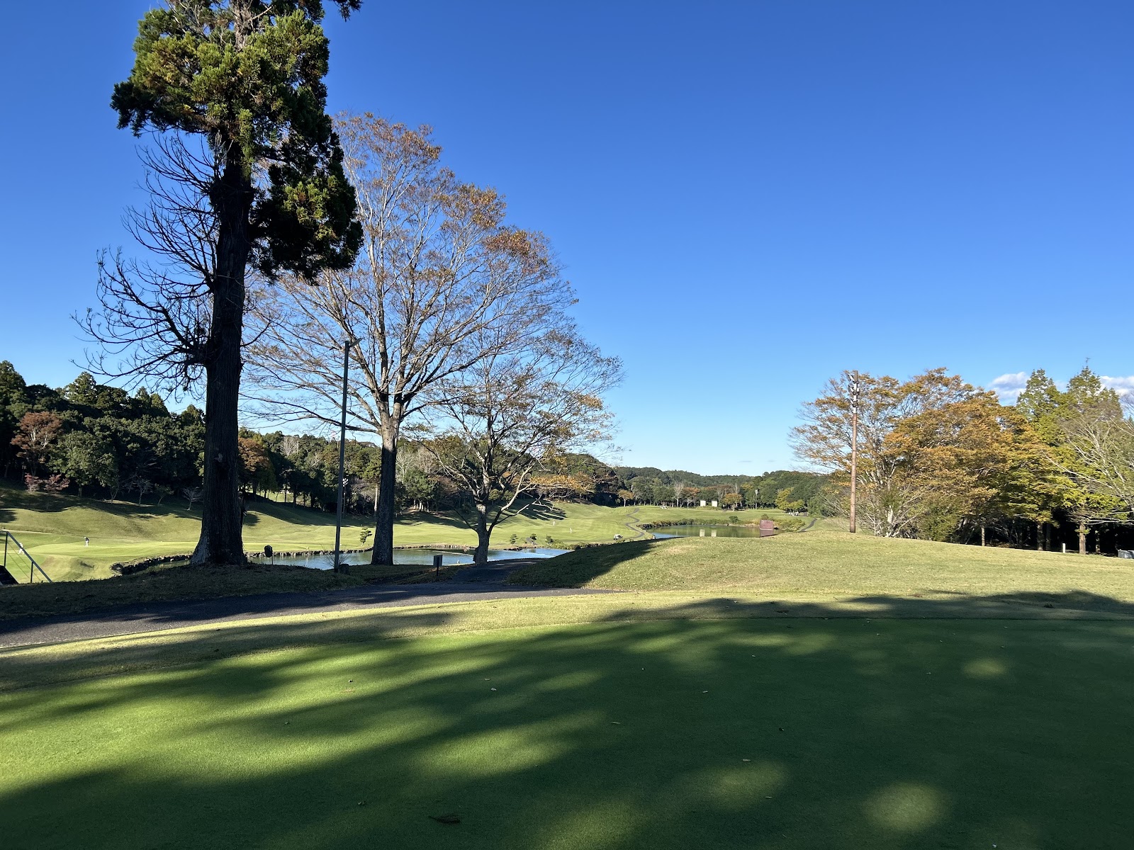 Sawara Country Club - 5