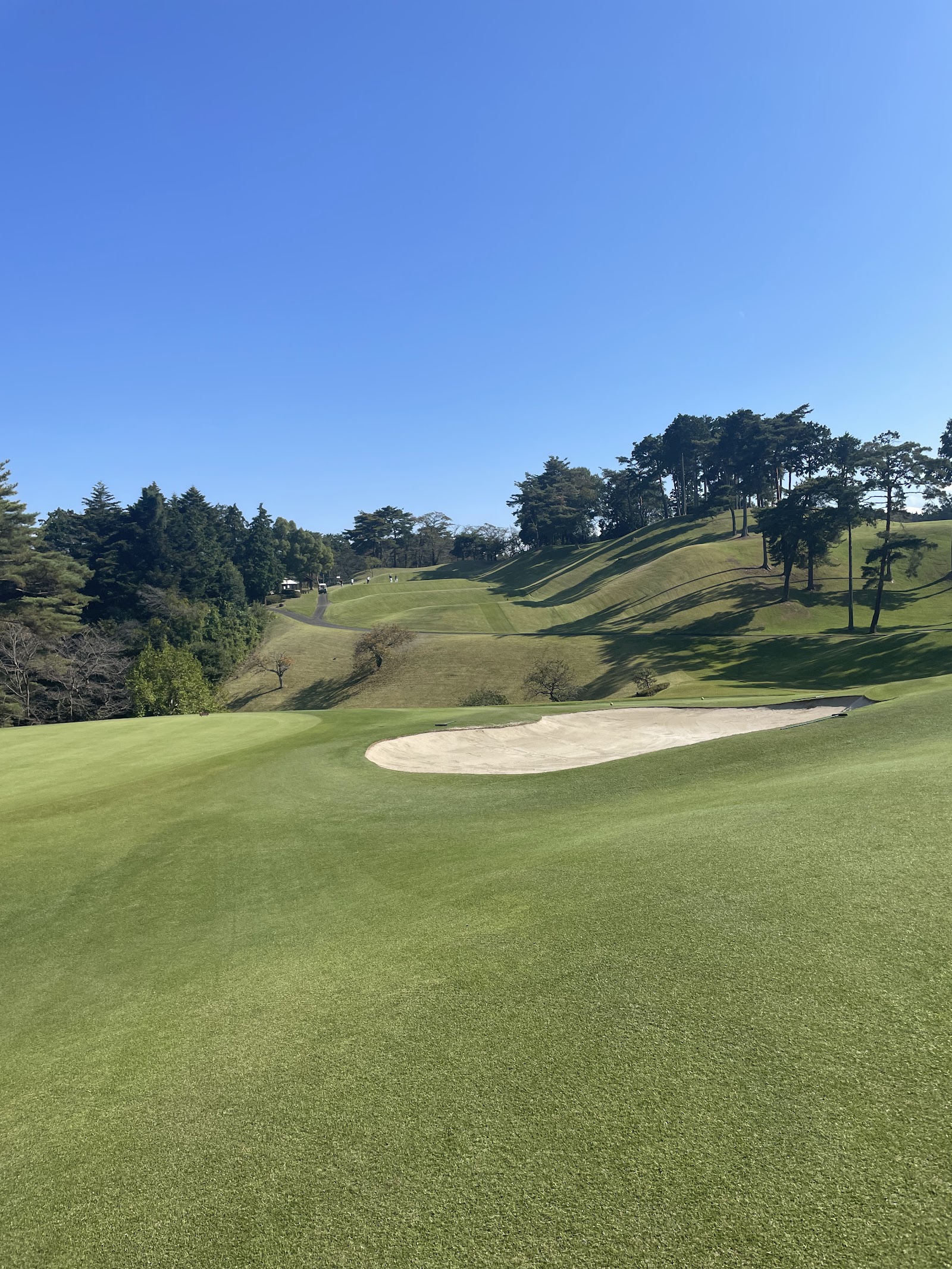 Musashigaoka Golf Course - 5