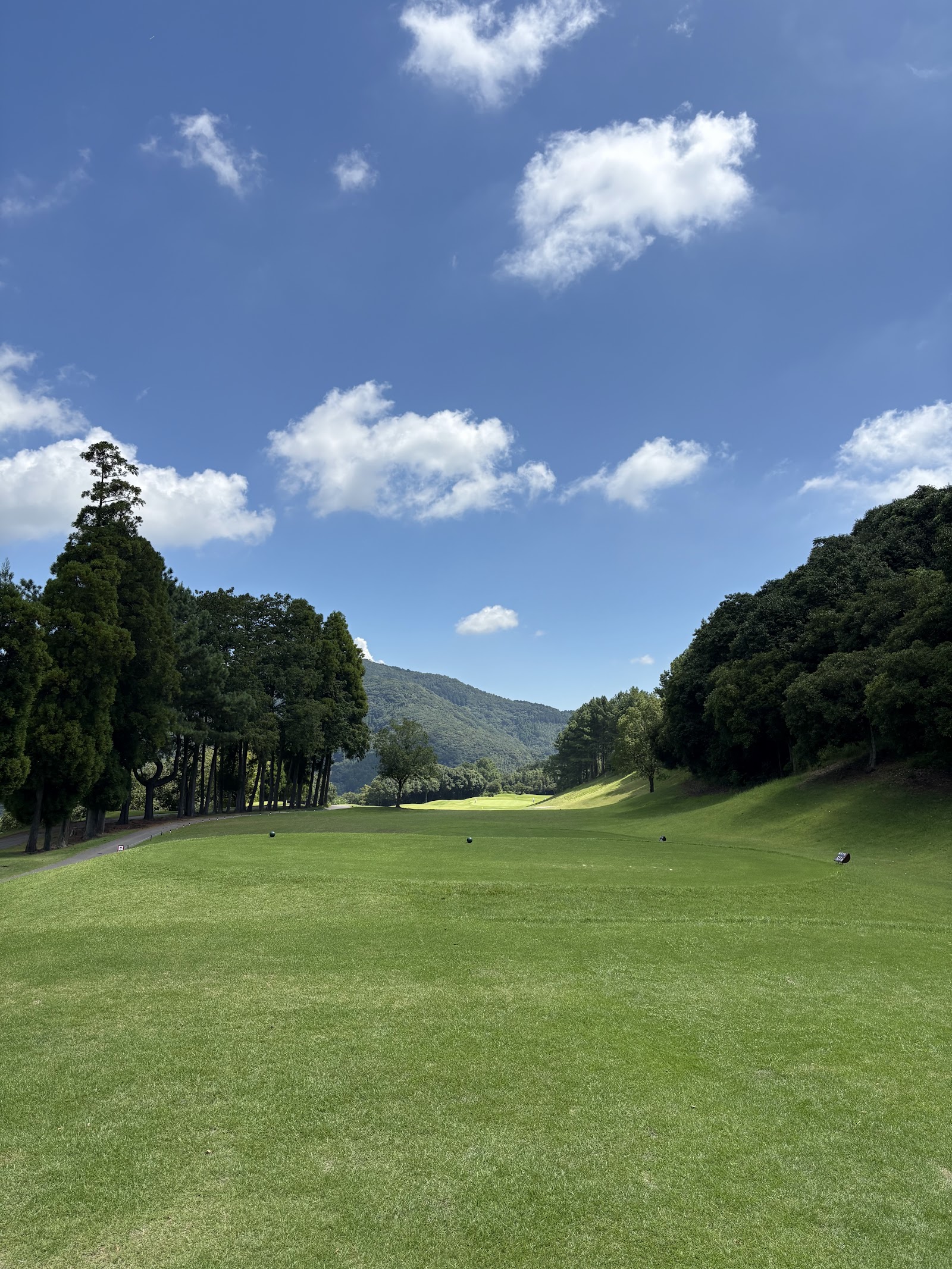 Hanamatsuri Golf Club - 4