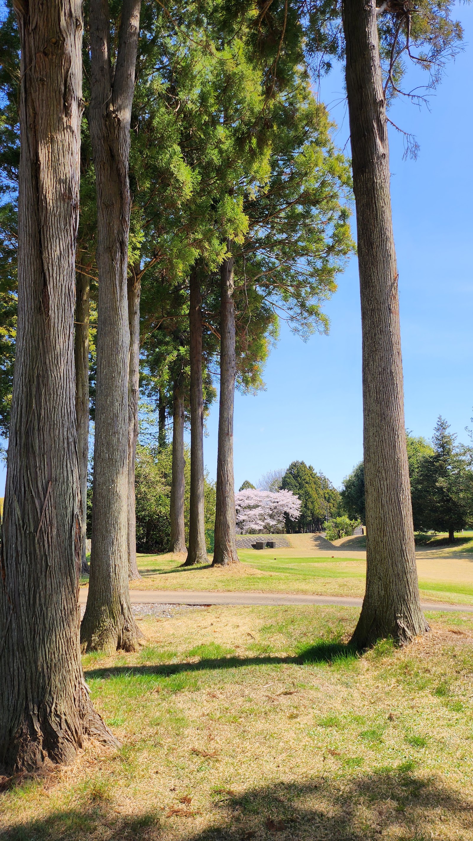 Homuta Green Golf Club - 4