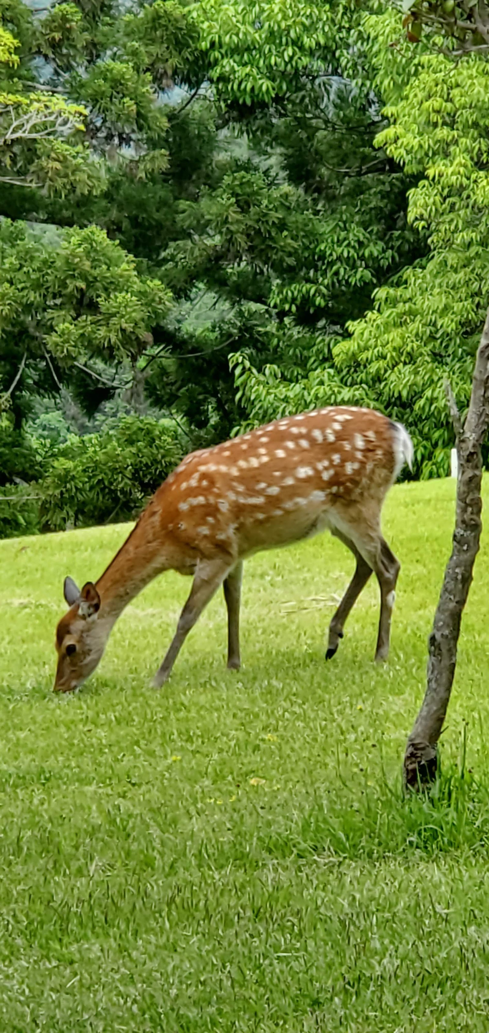 Sandou Country Club - 5