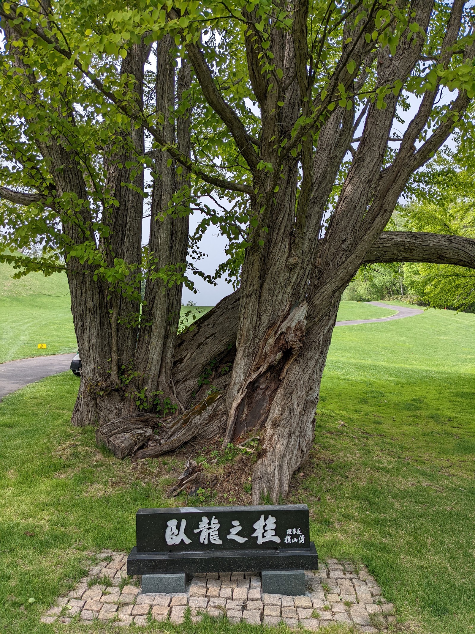 Takino Country Club - 5