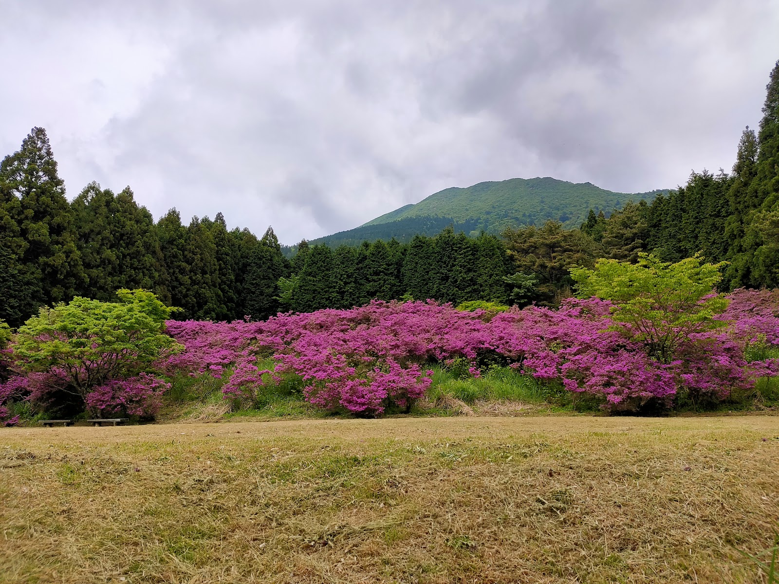 Unzen Golf Course - 3