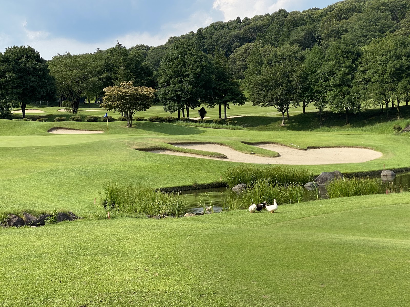 Utsunomiya Garden Golf Club - 2