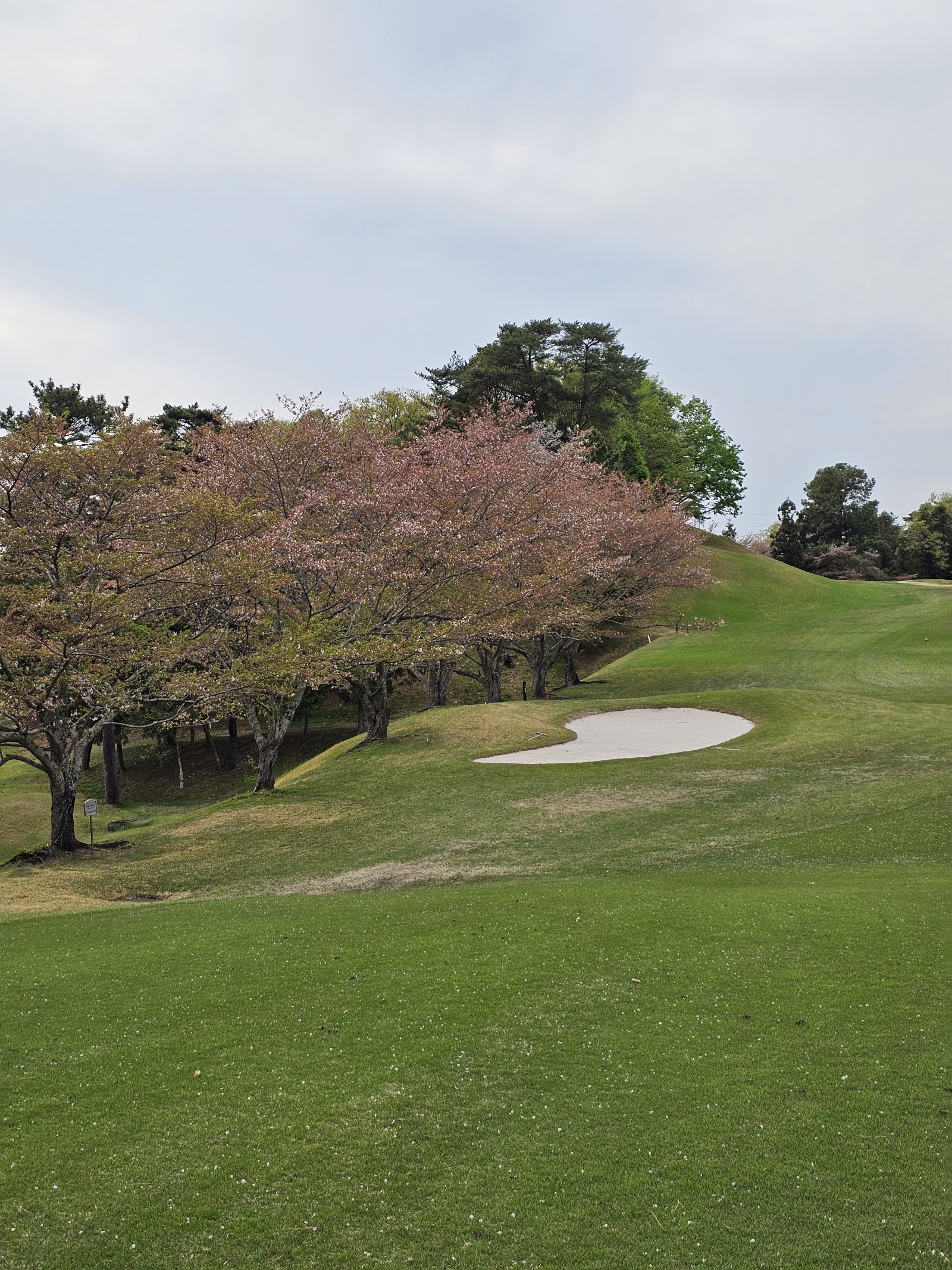 Inuyama Country Club - 4