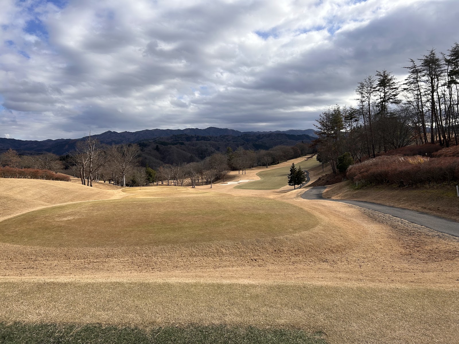 Persimmon Country Club - 2