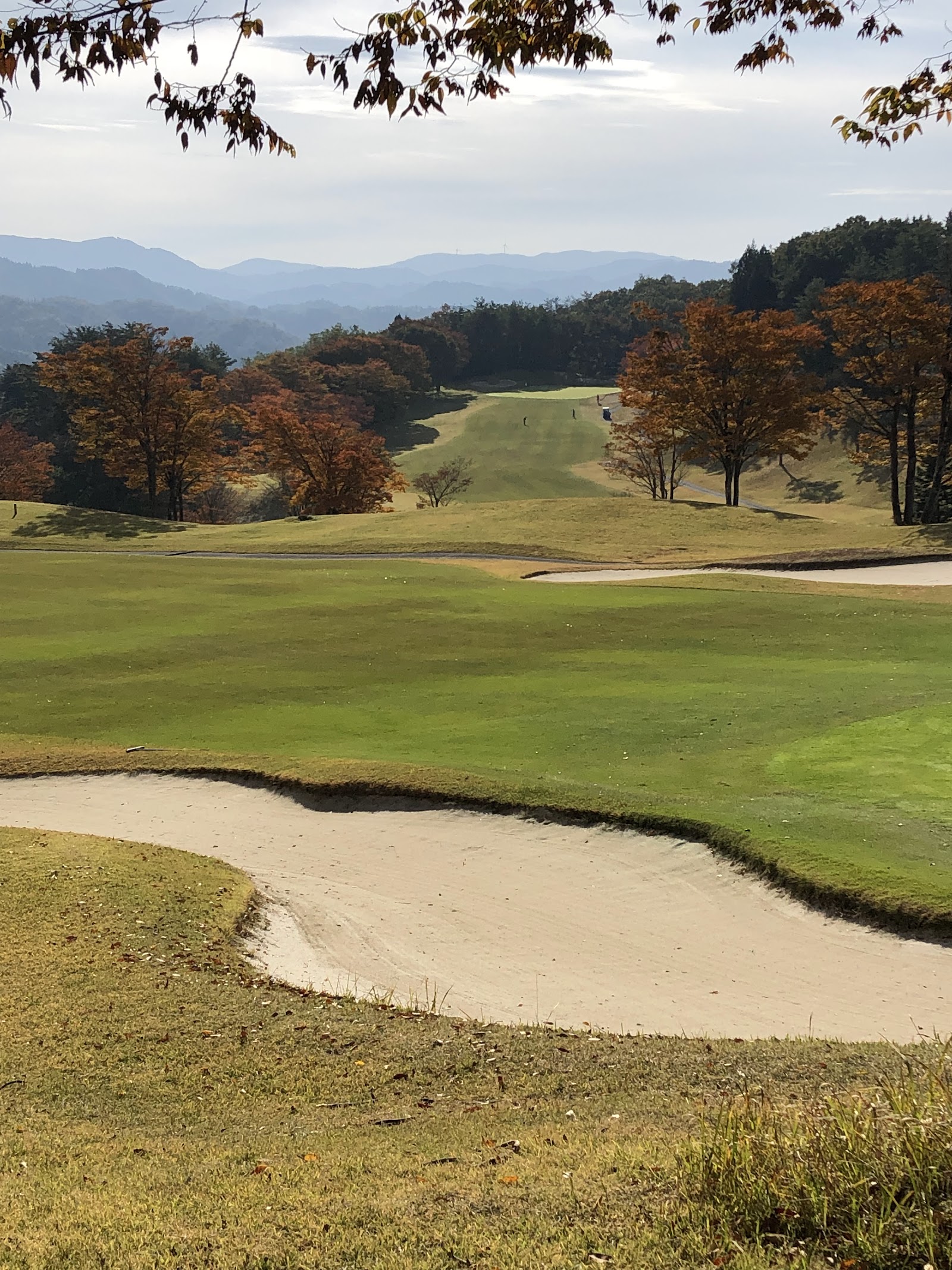 Persimmon Country Club - 4