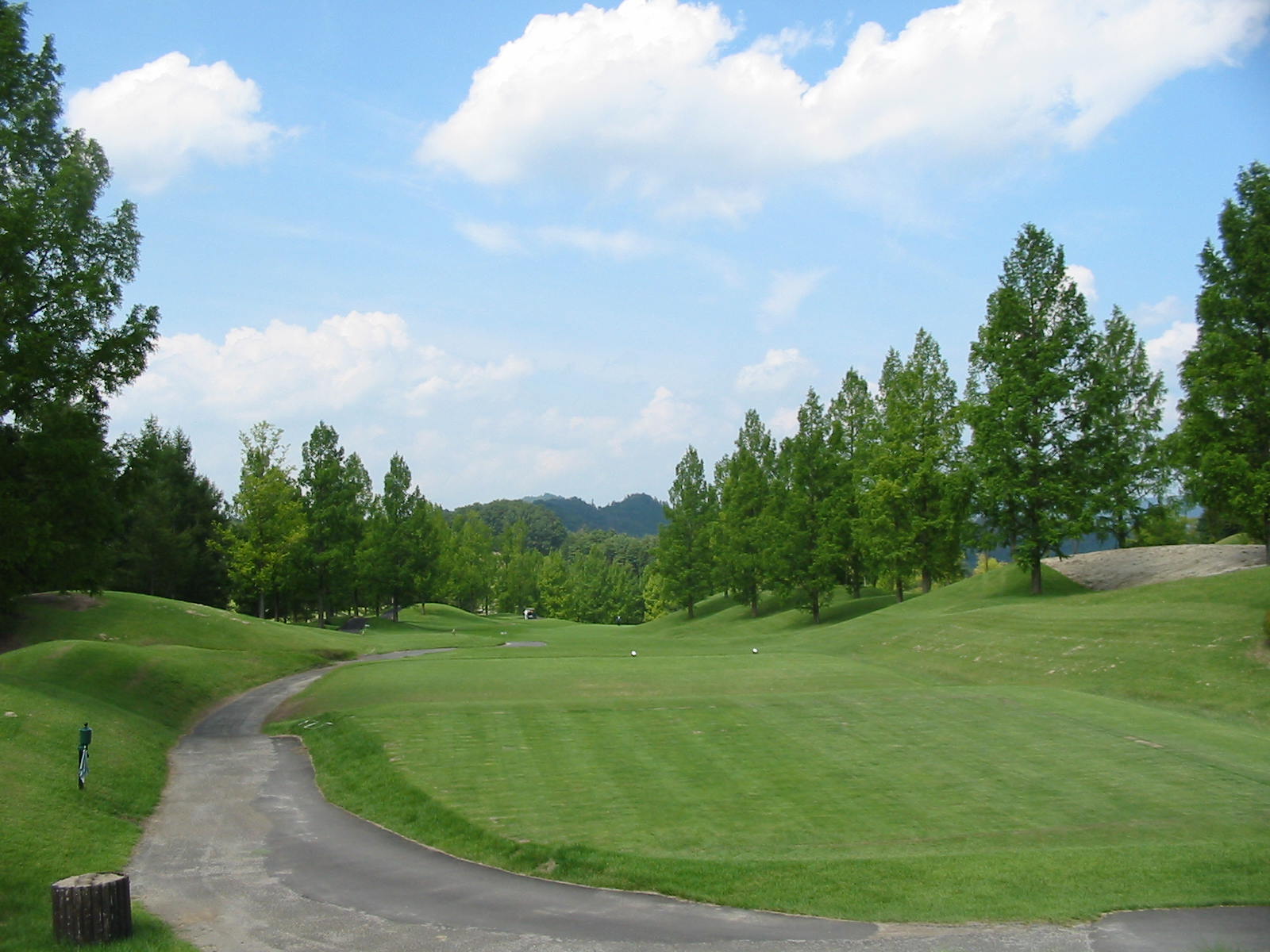 Persimmon Country Club - 6