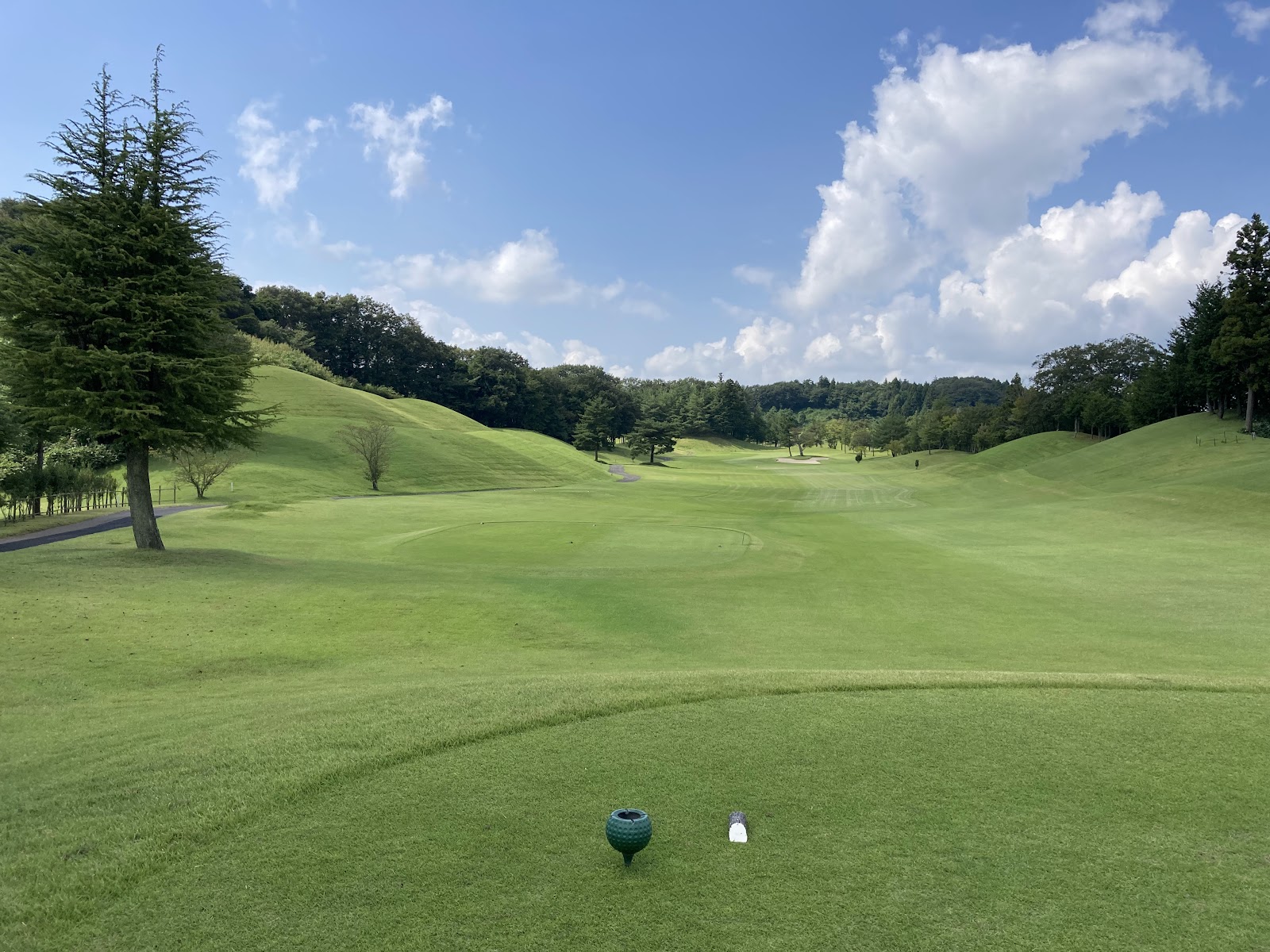 Green Academy Country Club - 2