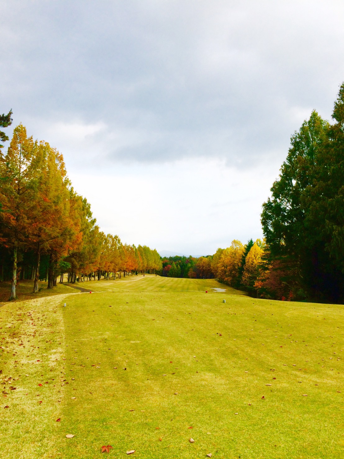 Shirakawa International Country Club - 3