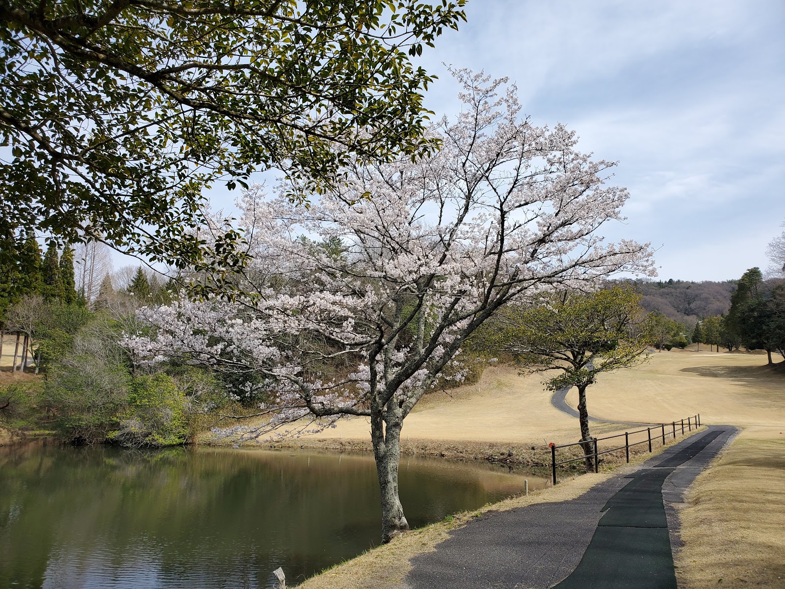 Akasaka Lakeside Country Club - 6