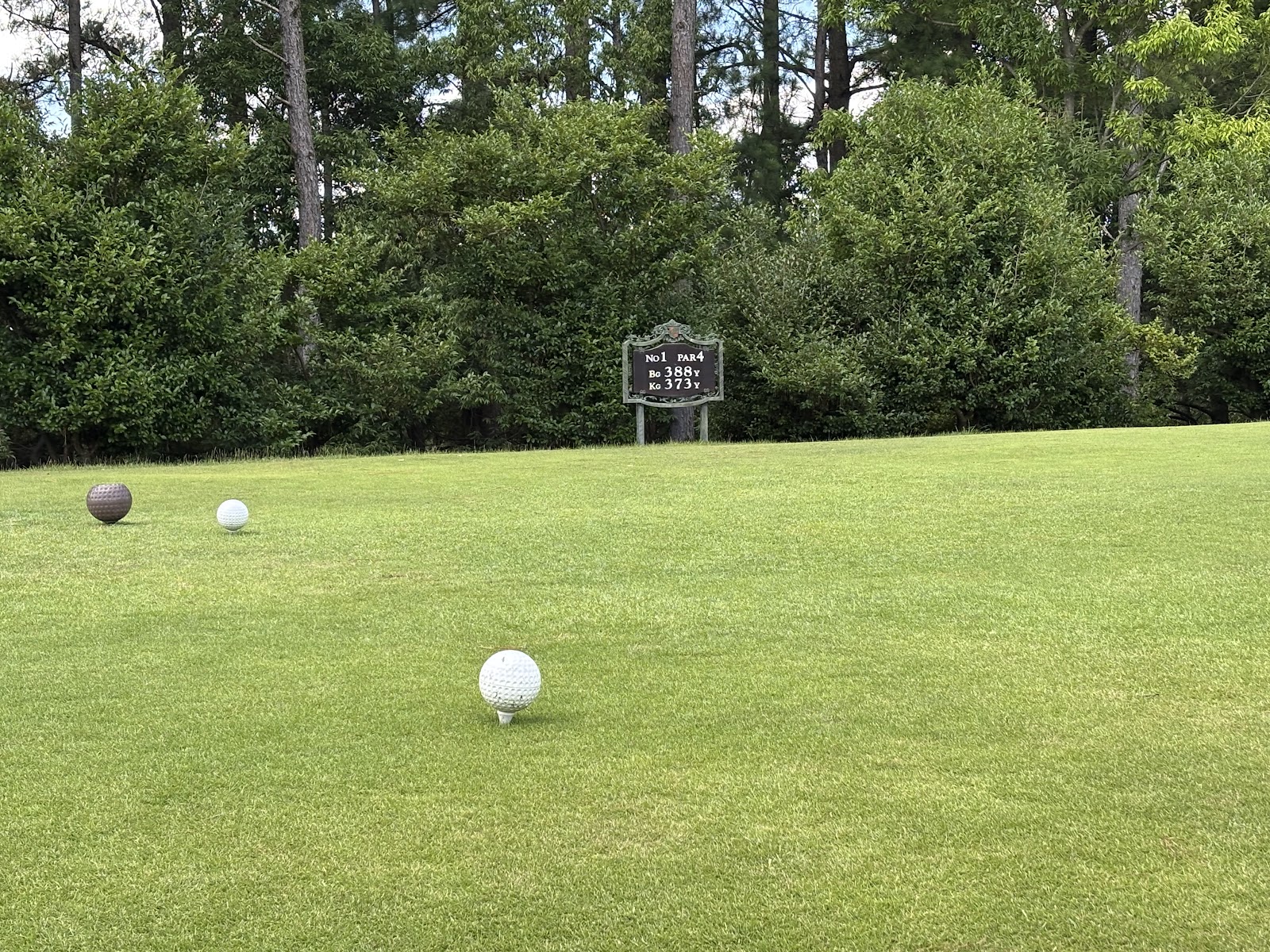 Old Lake Golf Club - 5