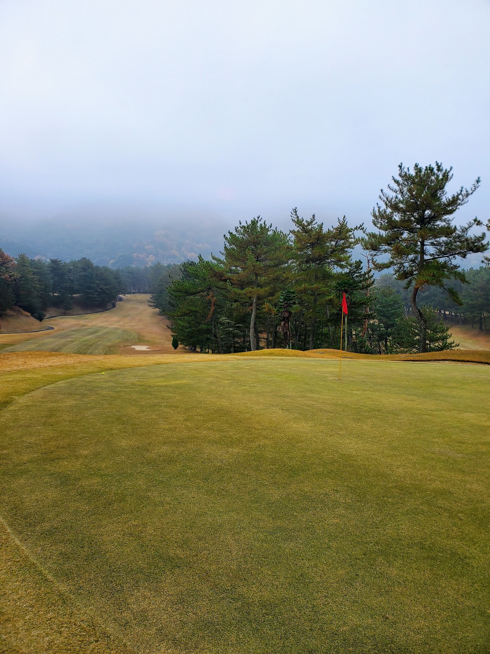 Niihama Country Club - 5