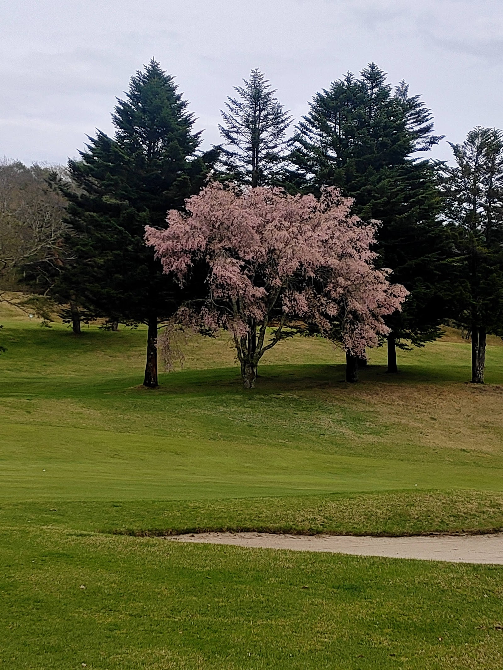 Dai-Asama Golf Club - 6