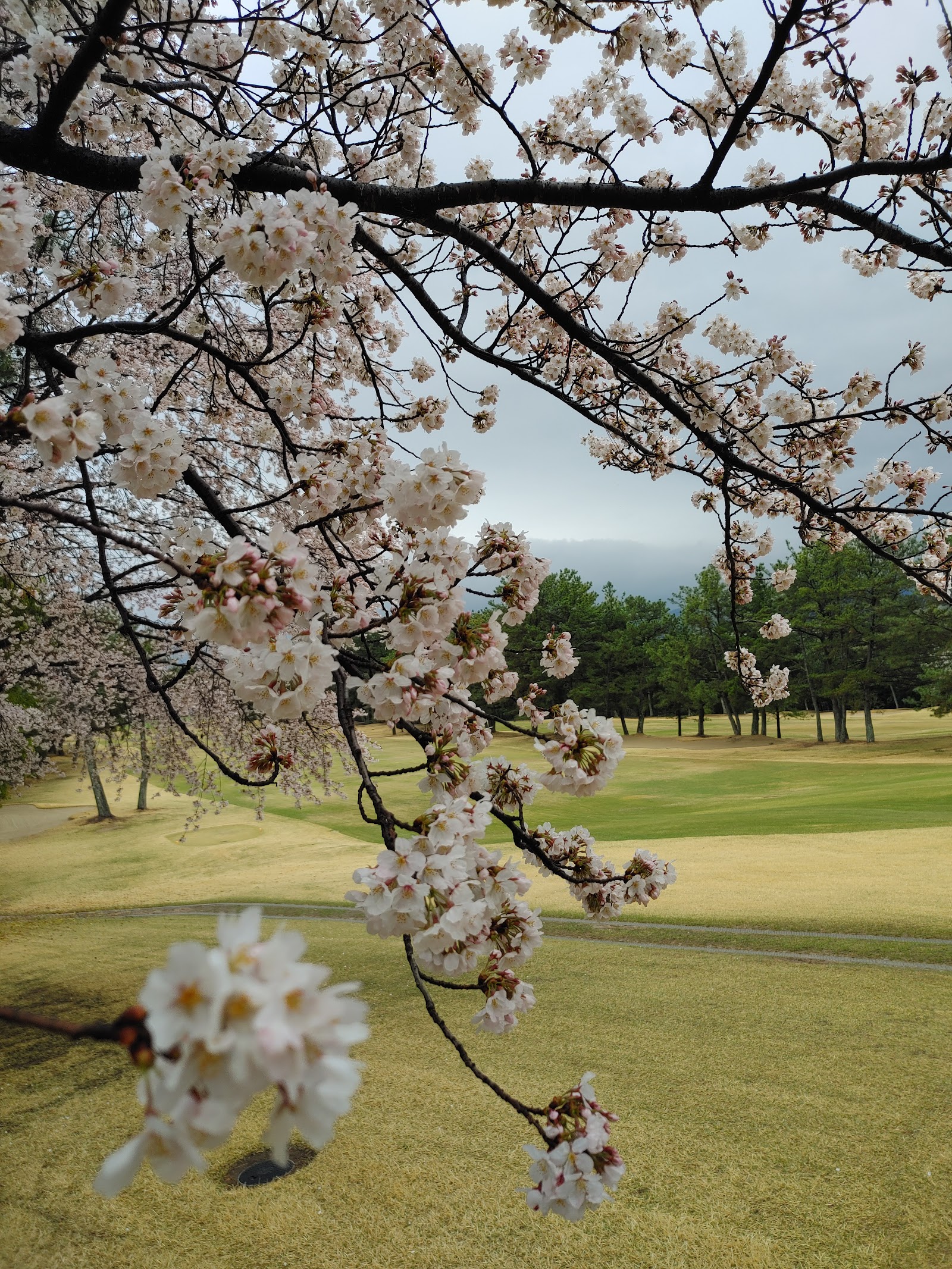 Okayama Golf Club - 6