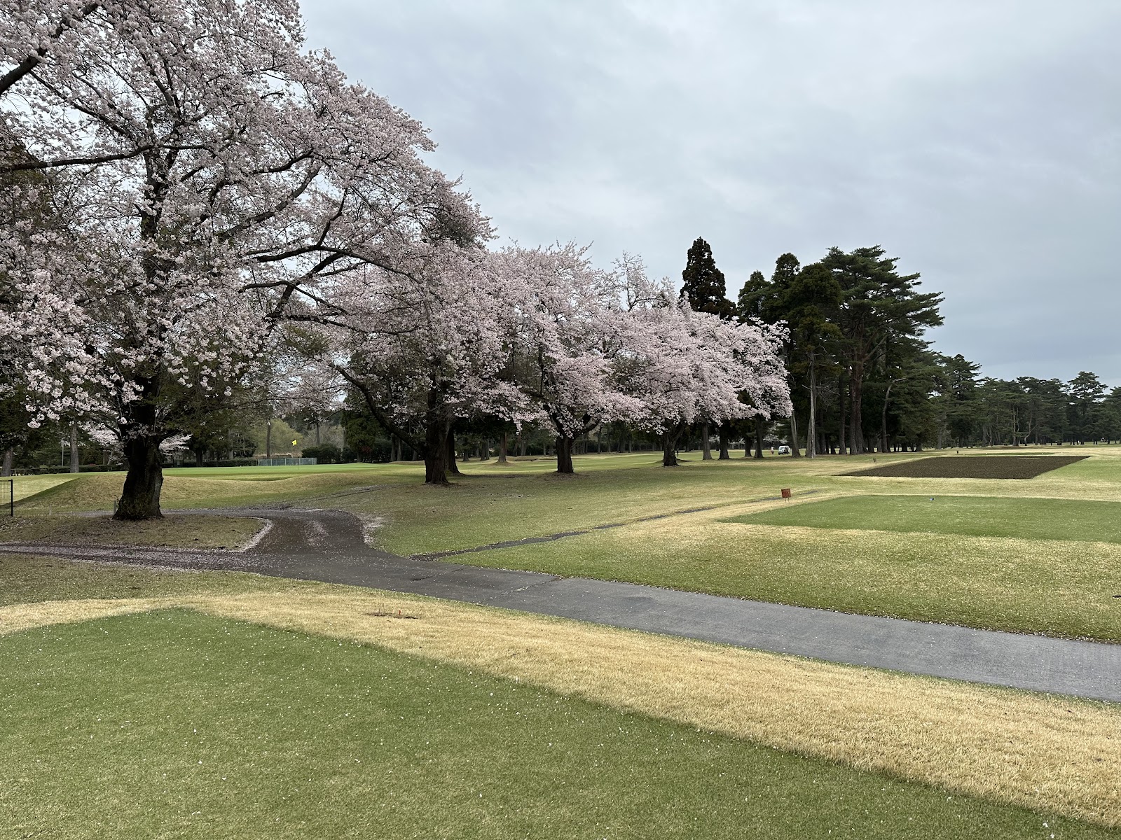 Keiyo Country Club - 5