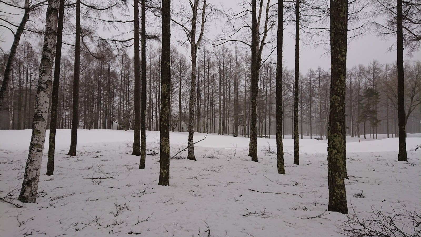 Nagano Country Club - 4