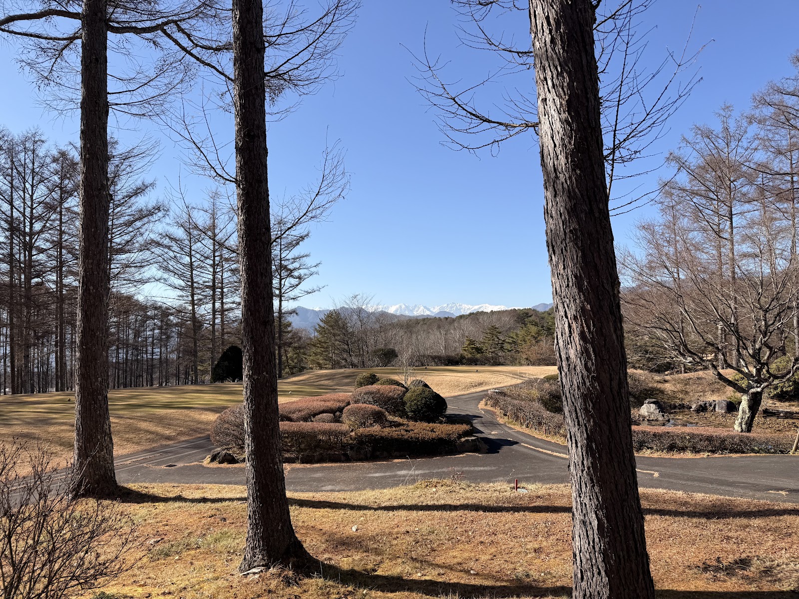 Nagano Country Club - 6