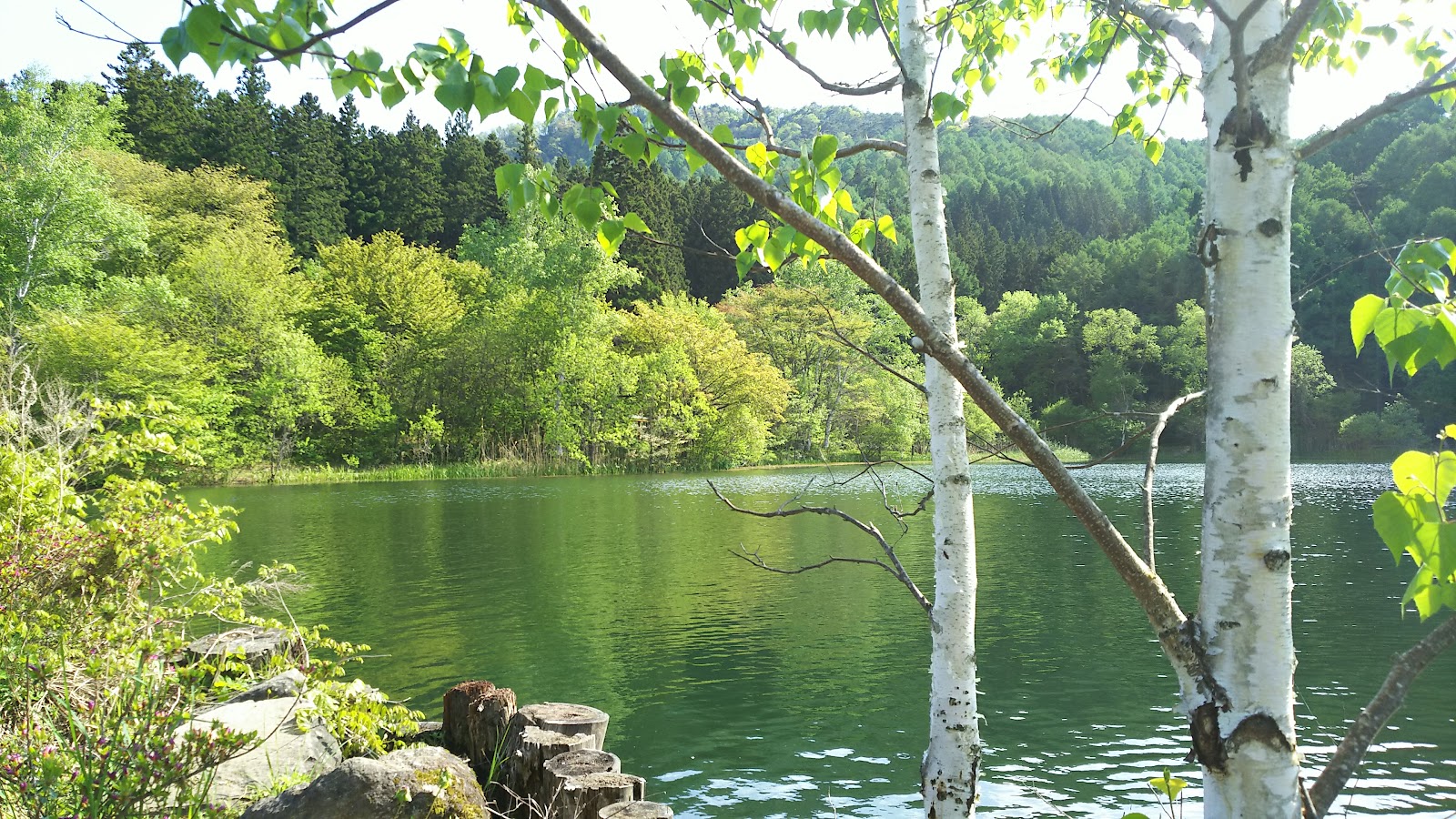 Chikuma Kogen Country Club - 5