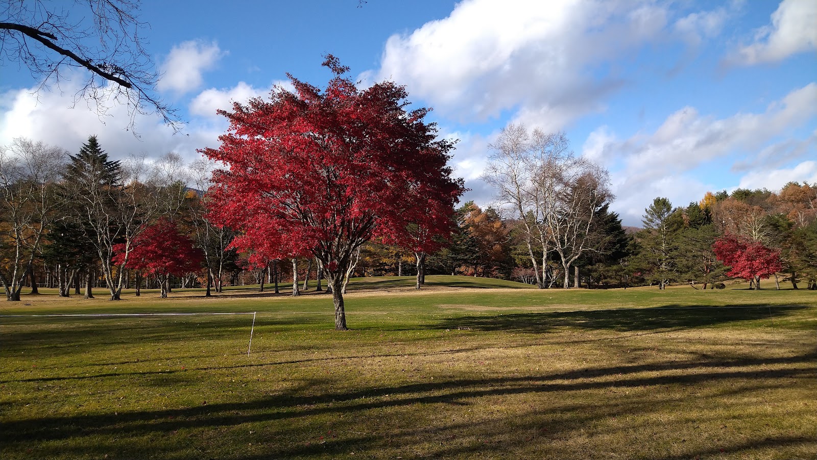 Kusatsu Country Club - 4