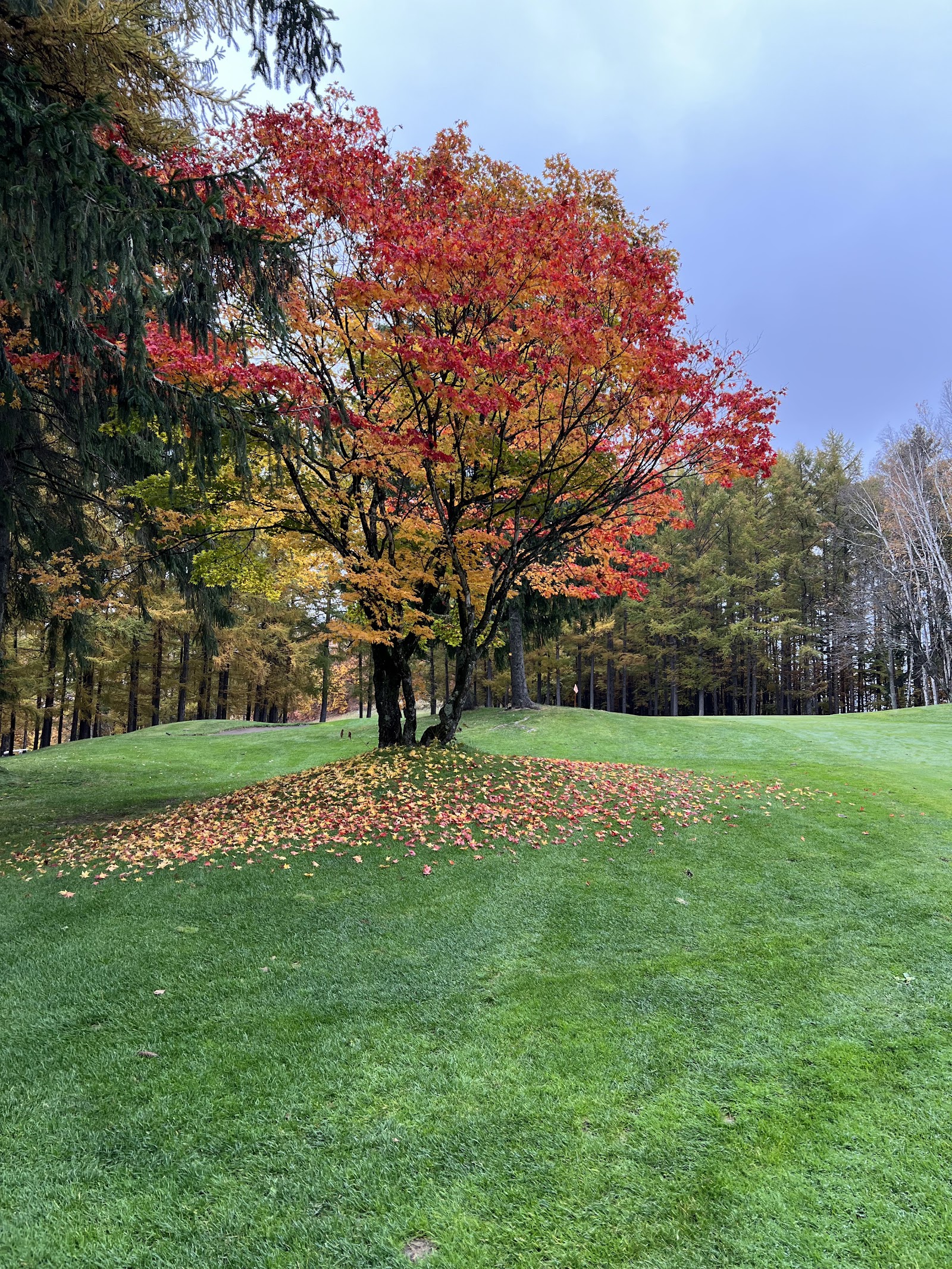 Cote Asahikawa Country Club - 3