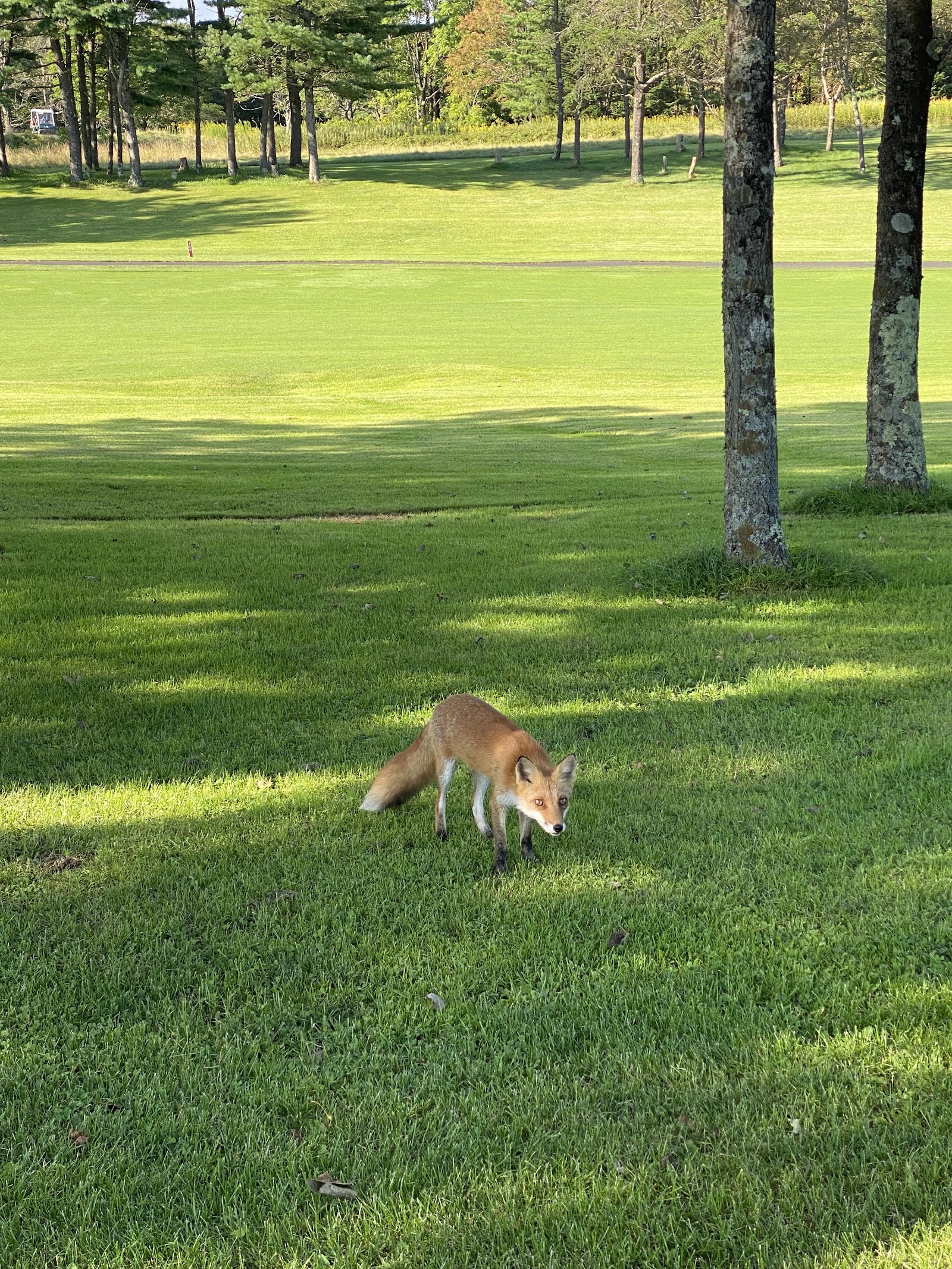 Tarumae Country Club - 5