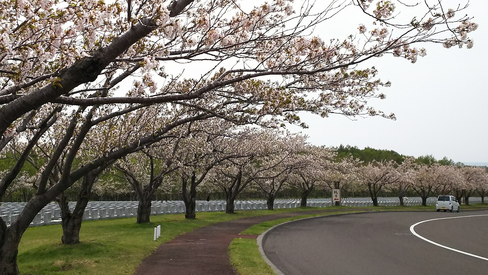Chateraise Country Club Ishikari - 5