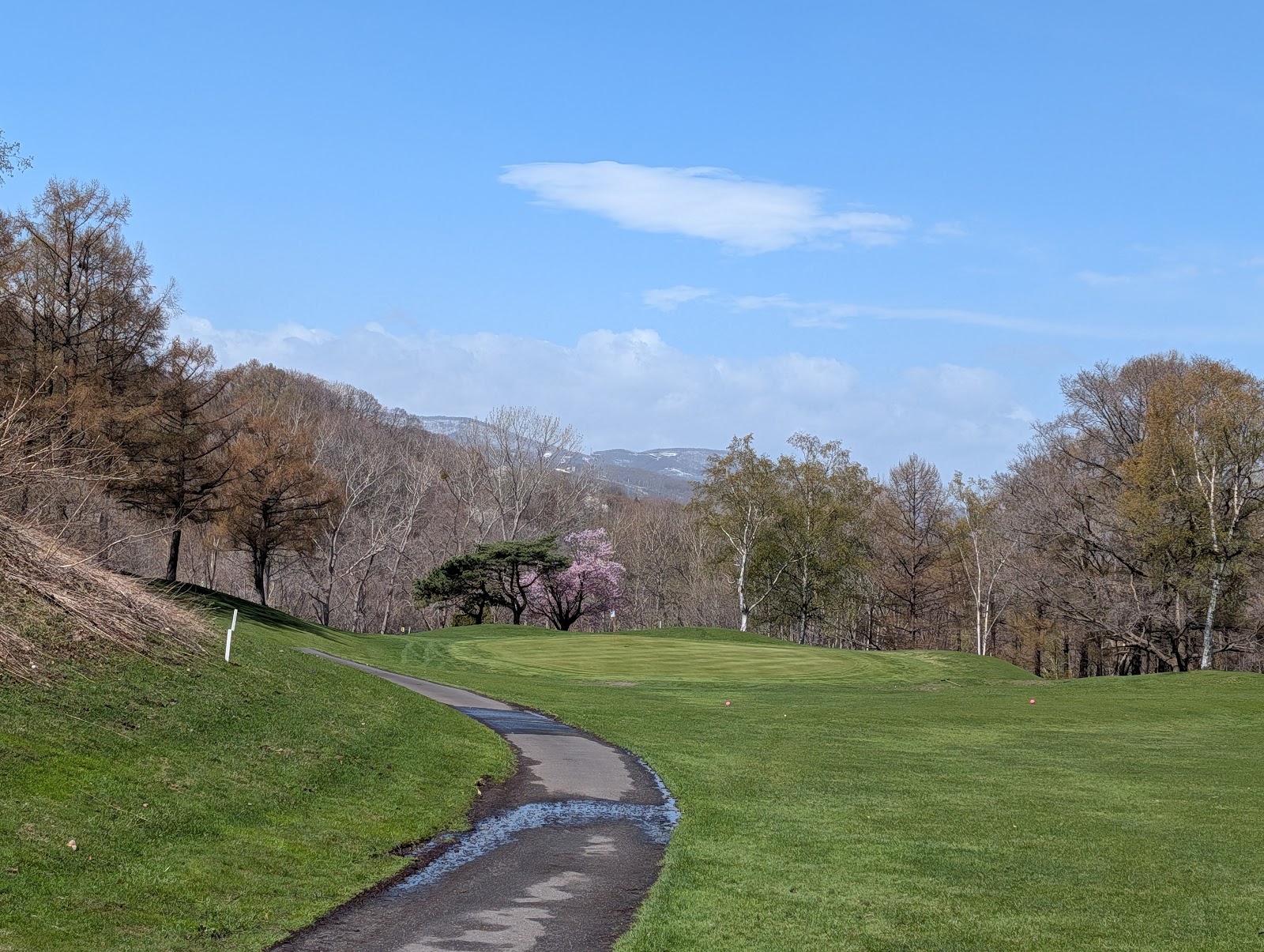 Chisan Country Club Zenibako - 6
